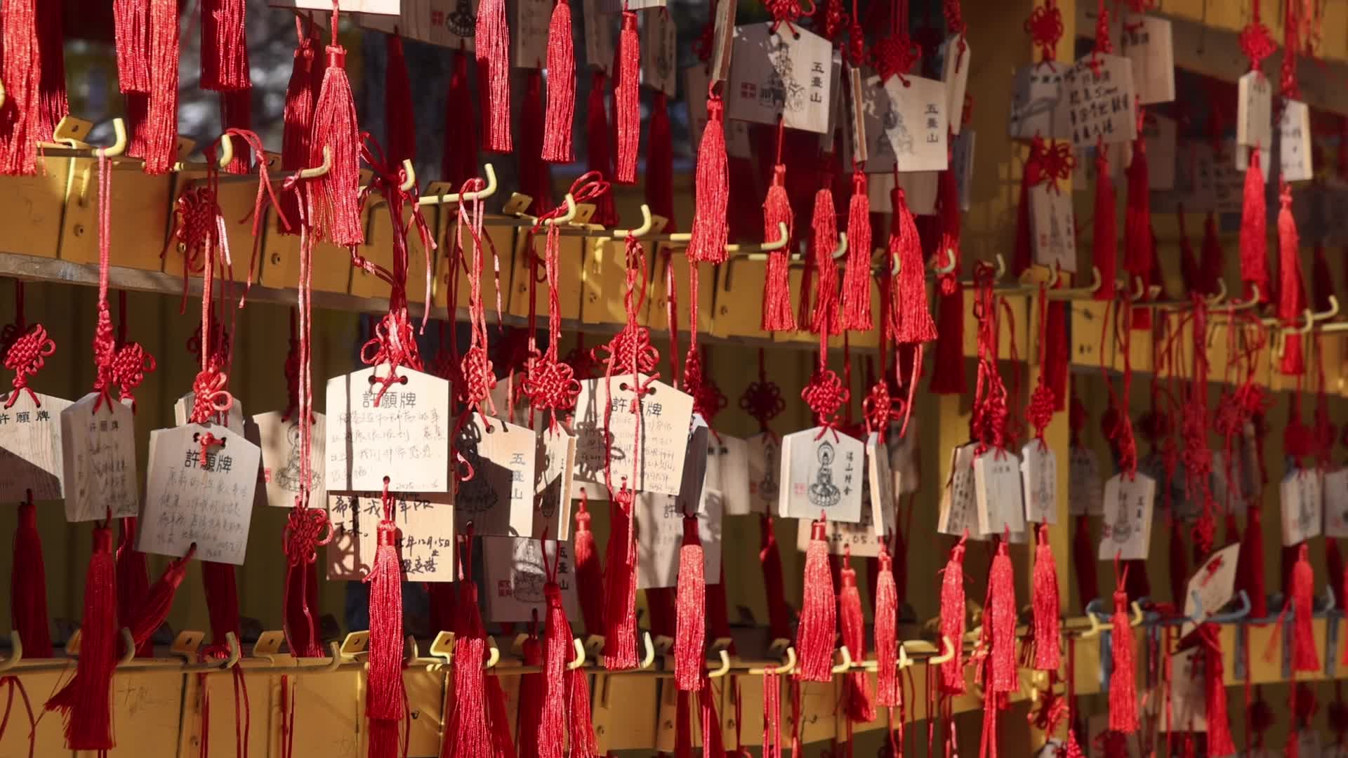 Chinese Lunar New Year Celebration in Canada