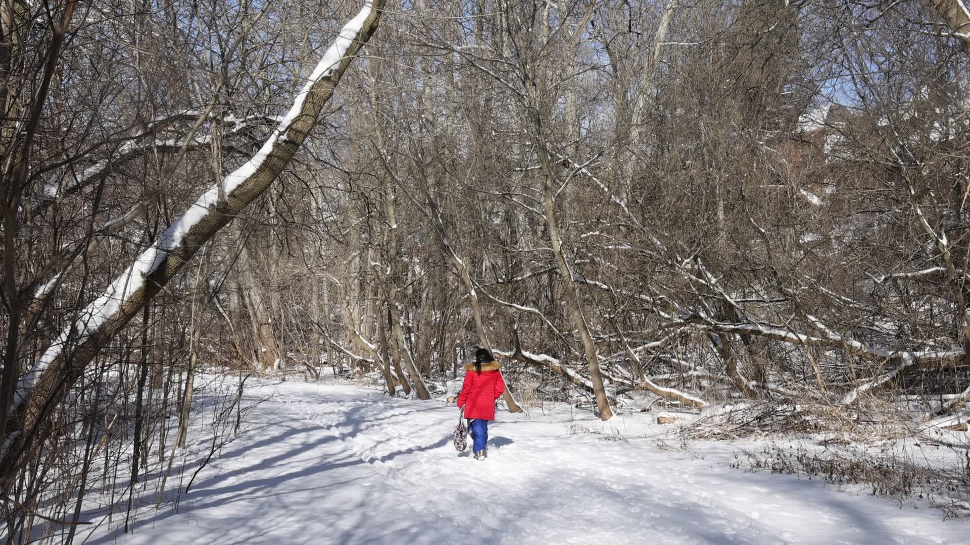 Daily life during Winter in Toronto, Canada