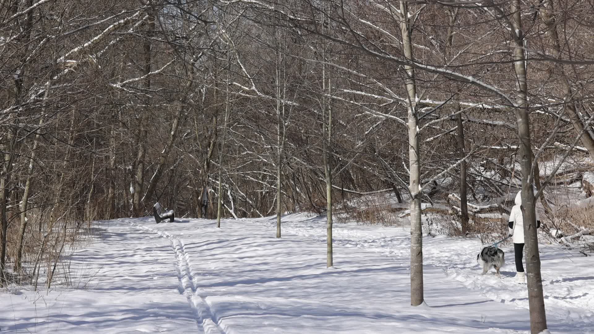 Daily life during Winter in Toronto, Canada