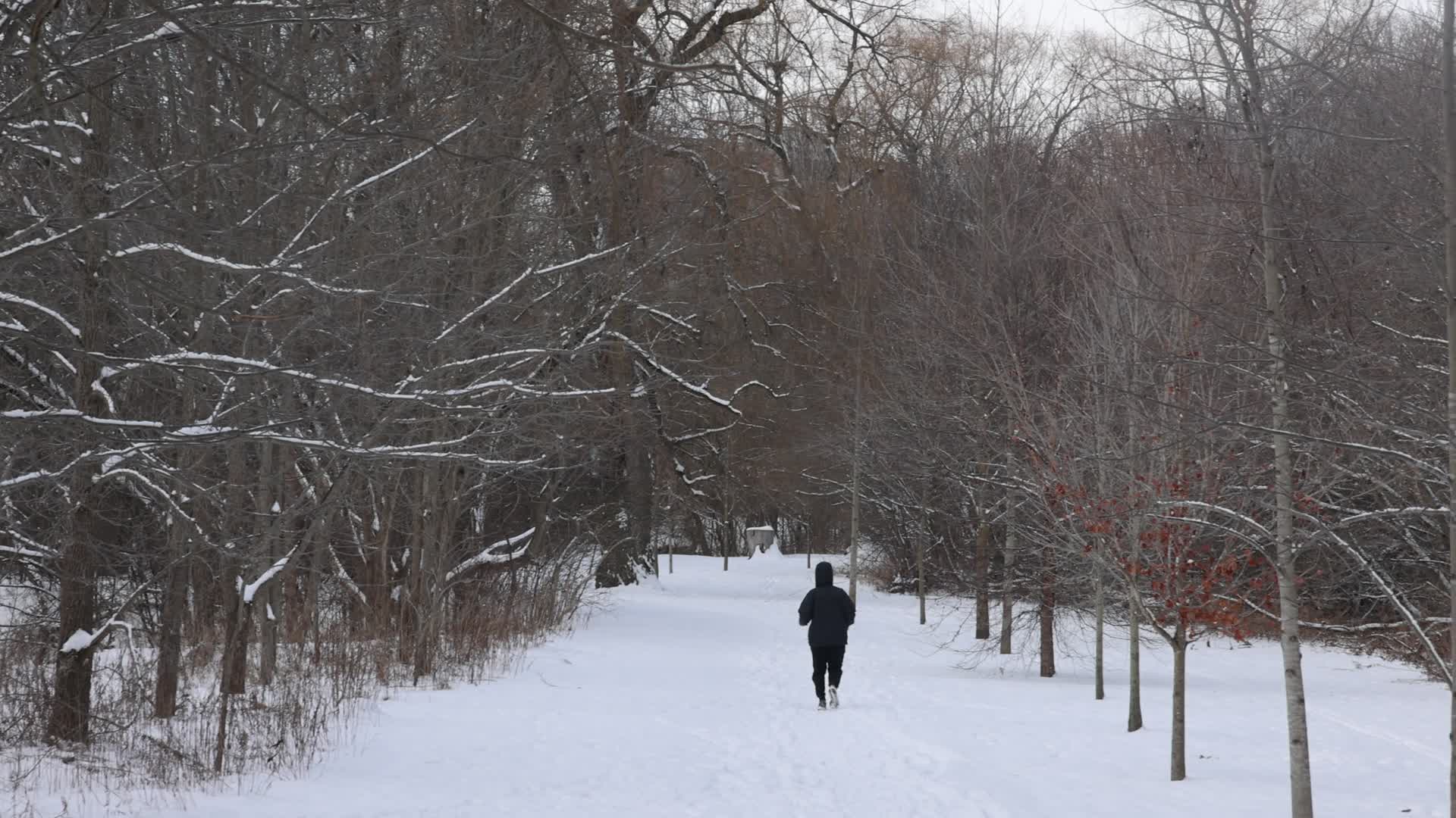 Daily life during Winter in Toronto, Canada