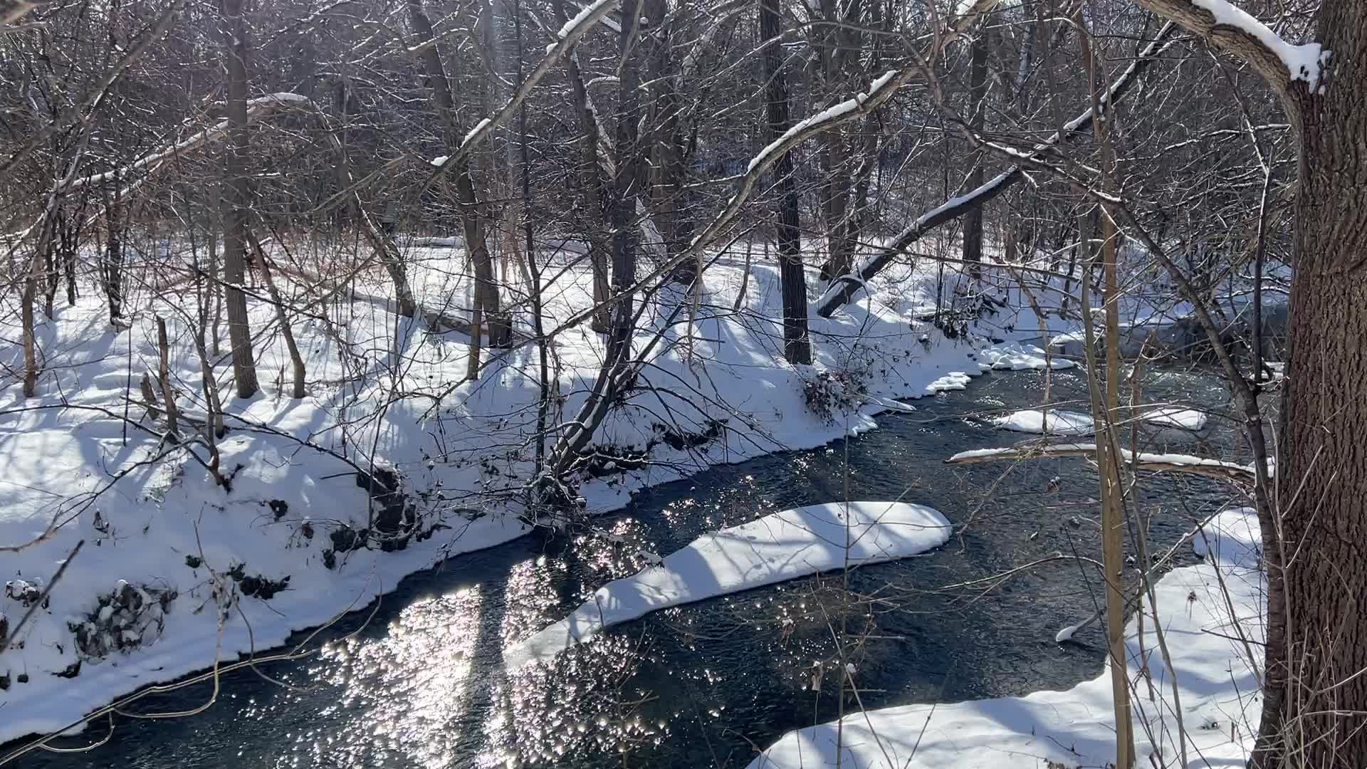 Daily life during Winter in Toronto, Canada