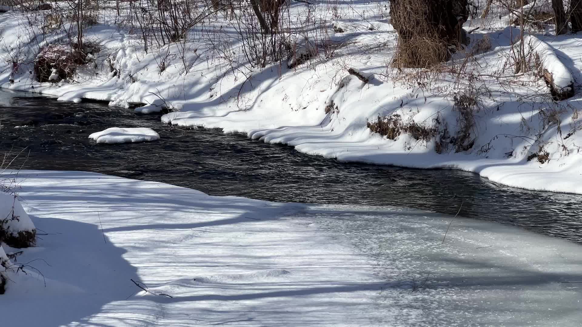 Daily life during Winter in Toronto, Canada