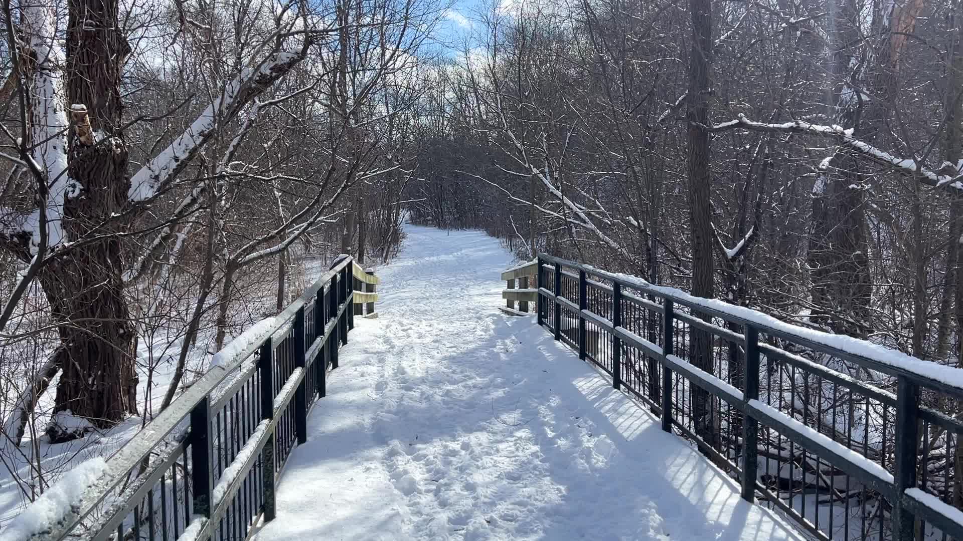 Daily life during Winter in Toronto, Canada