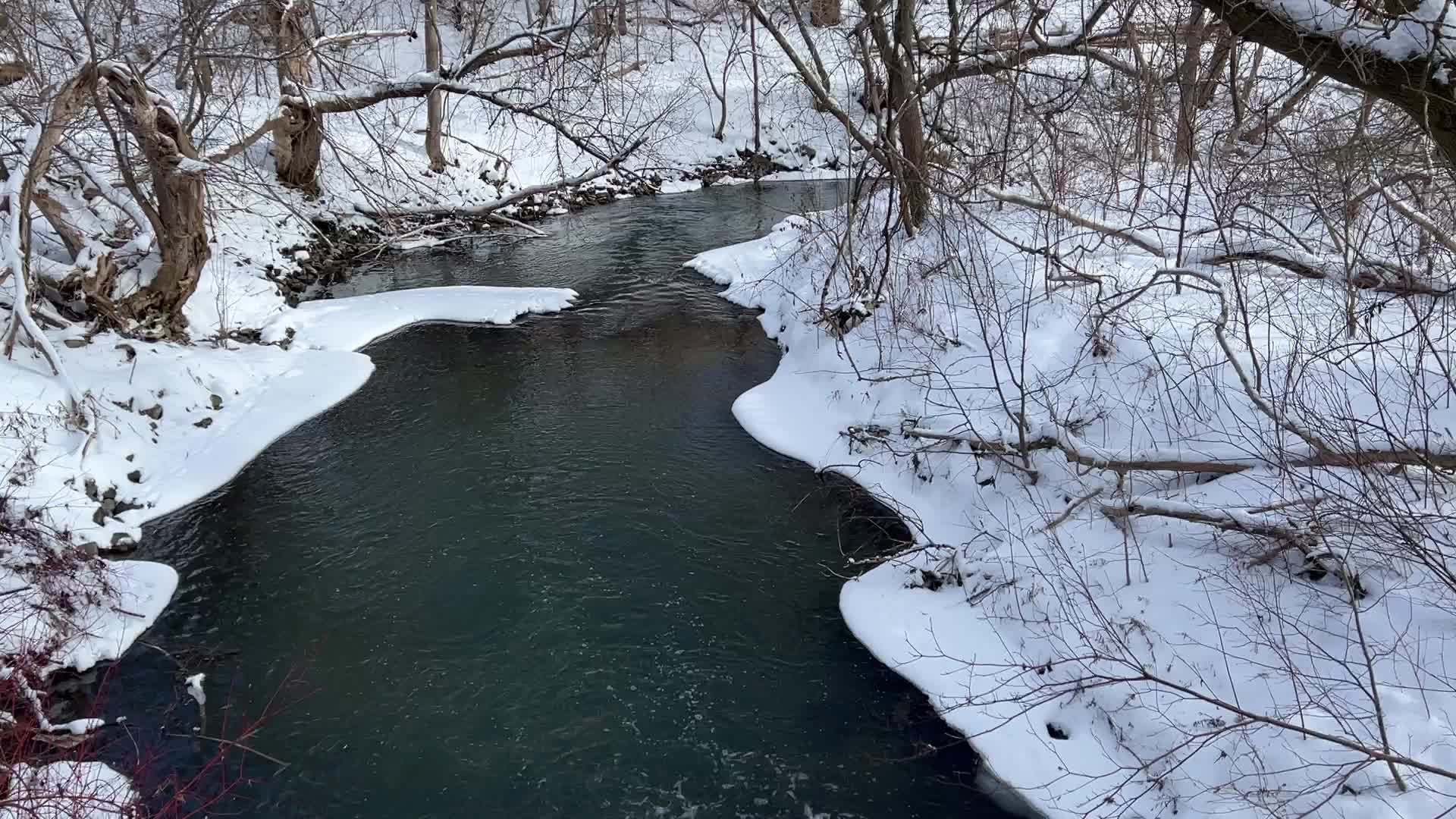 Daily life during Winter in Toronto, Canada
