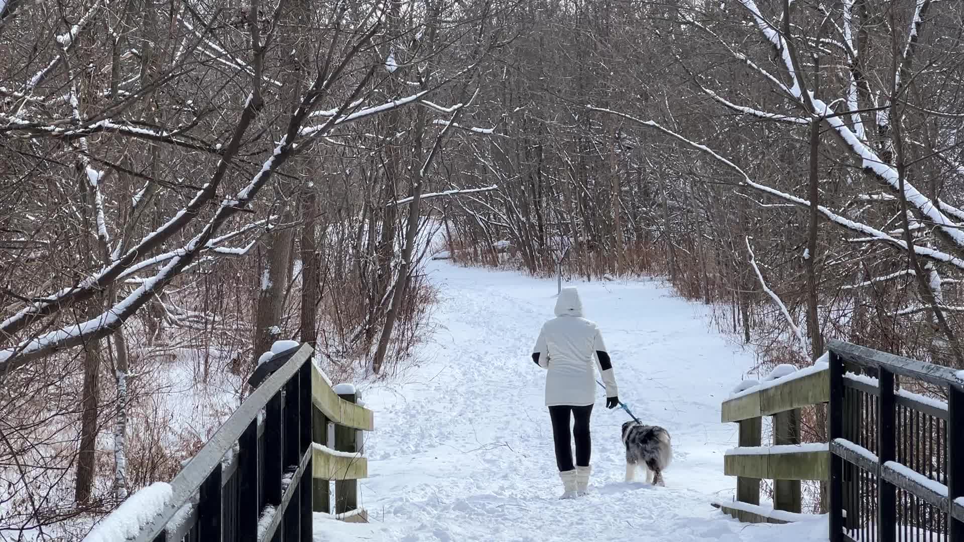 Daily life during Winter in Toronto, Canada