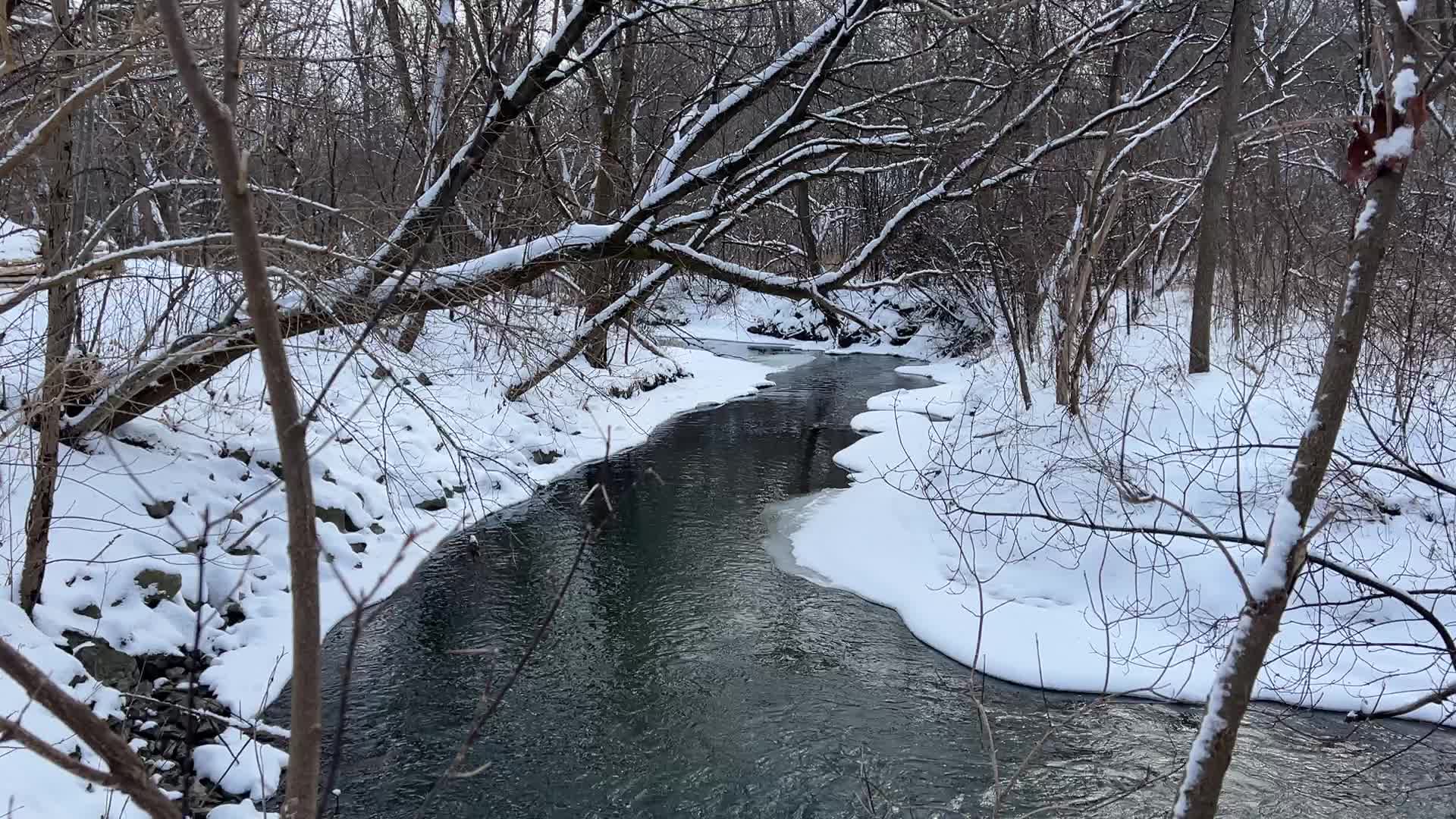 Daily life during Winter in Toronto, Canada