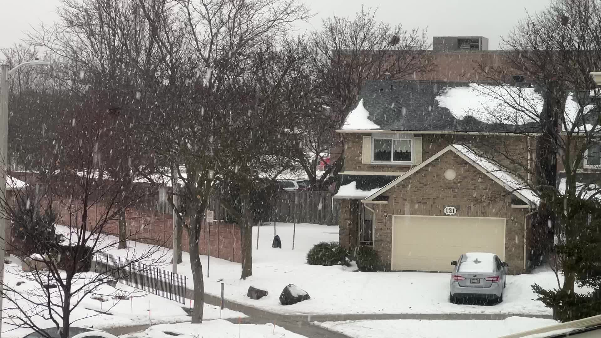 Wet snow falling in Toronto, Canada