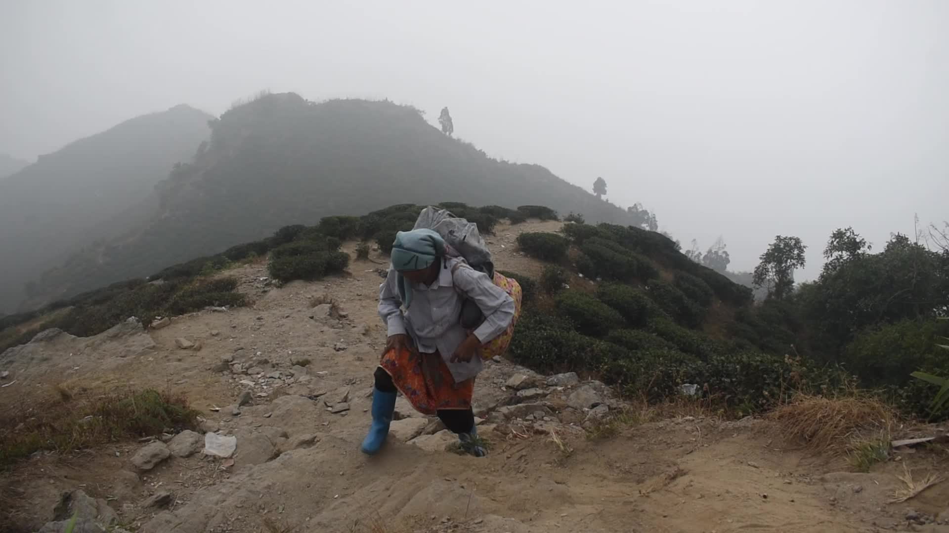 Daily Life in Darjeeling