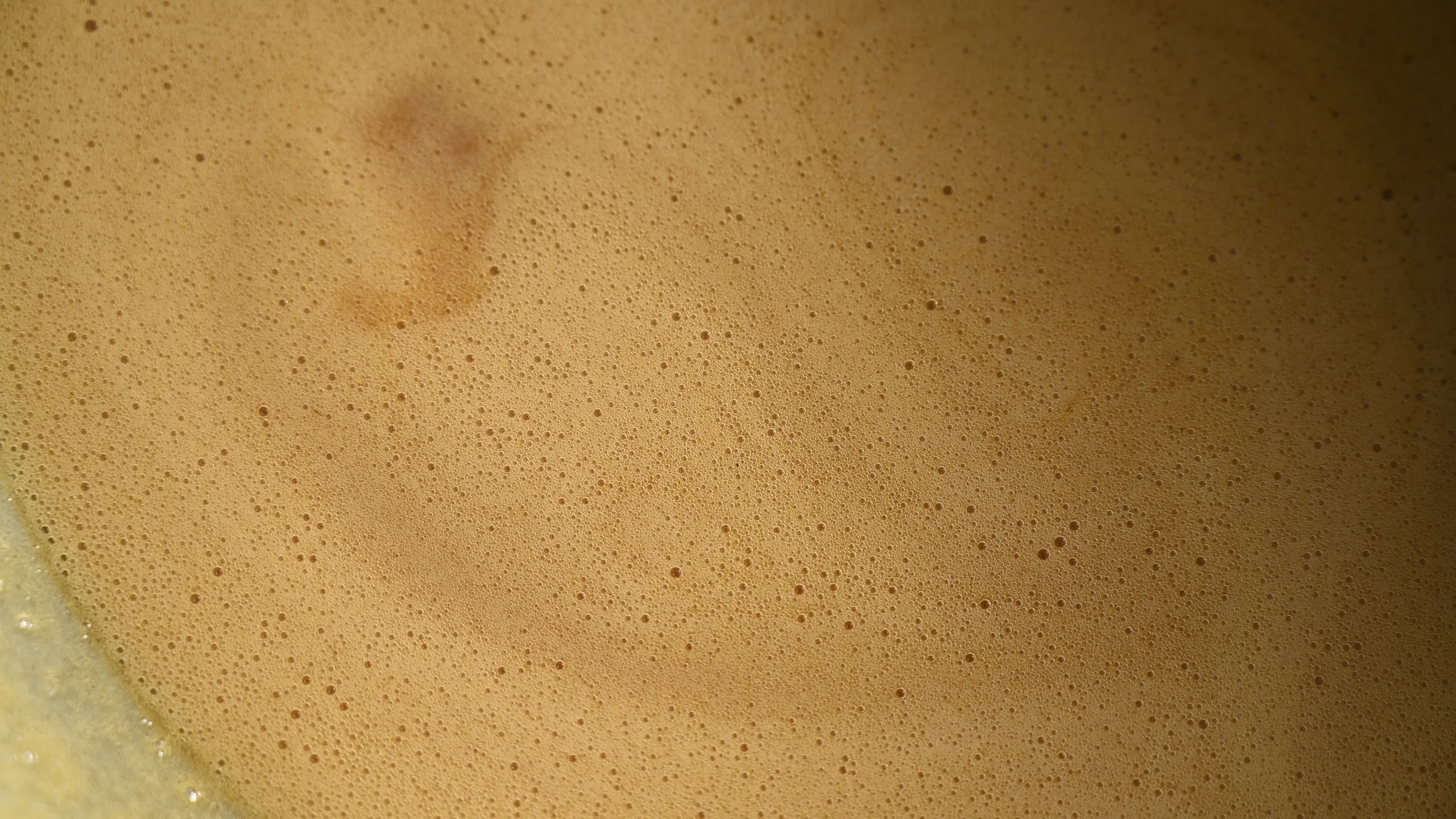 Sugarcane jaggery

