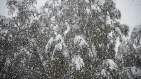 Heavy Snowfall in Kashmir