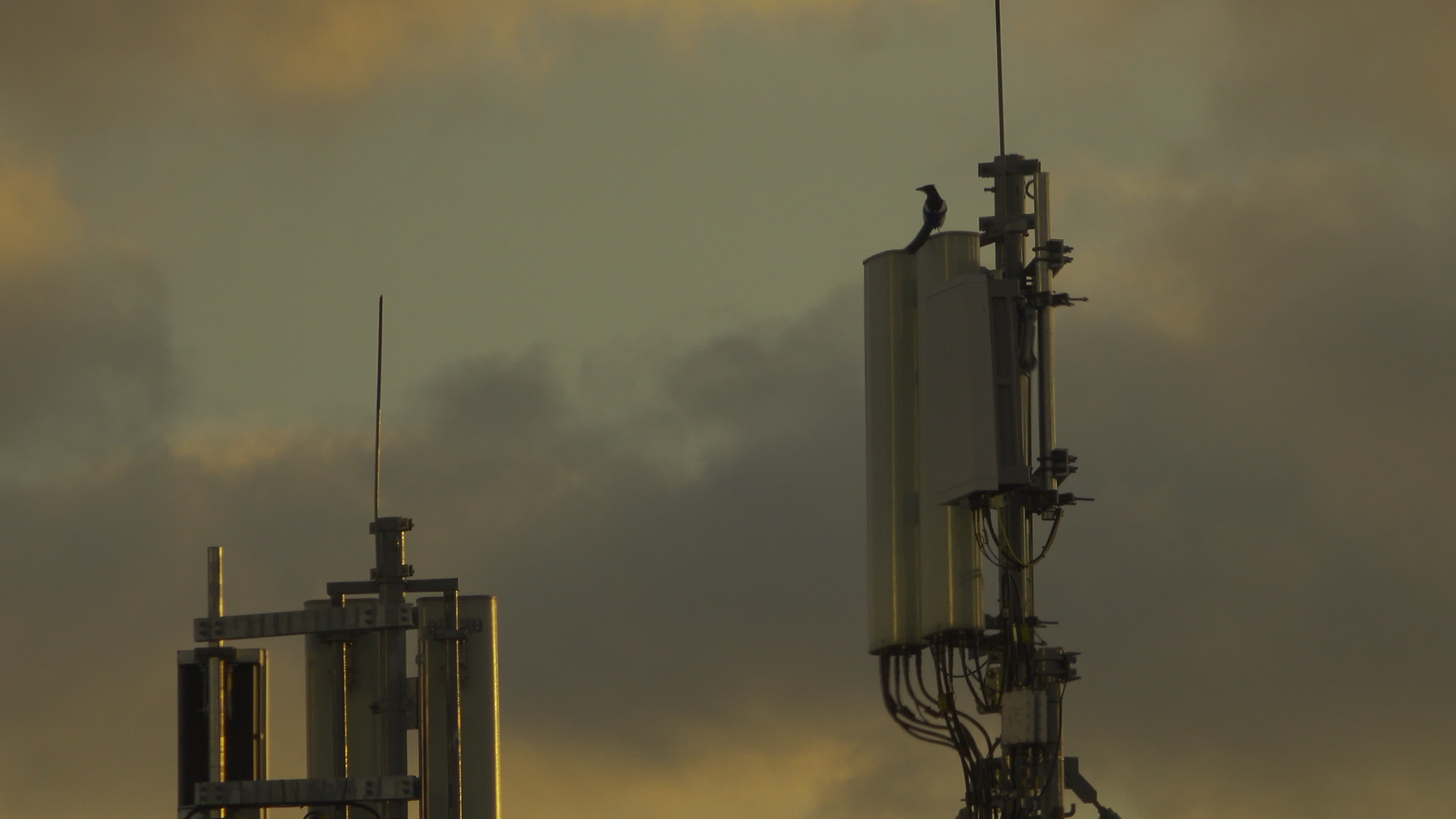 Poland testing 5G networks for commercial use
