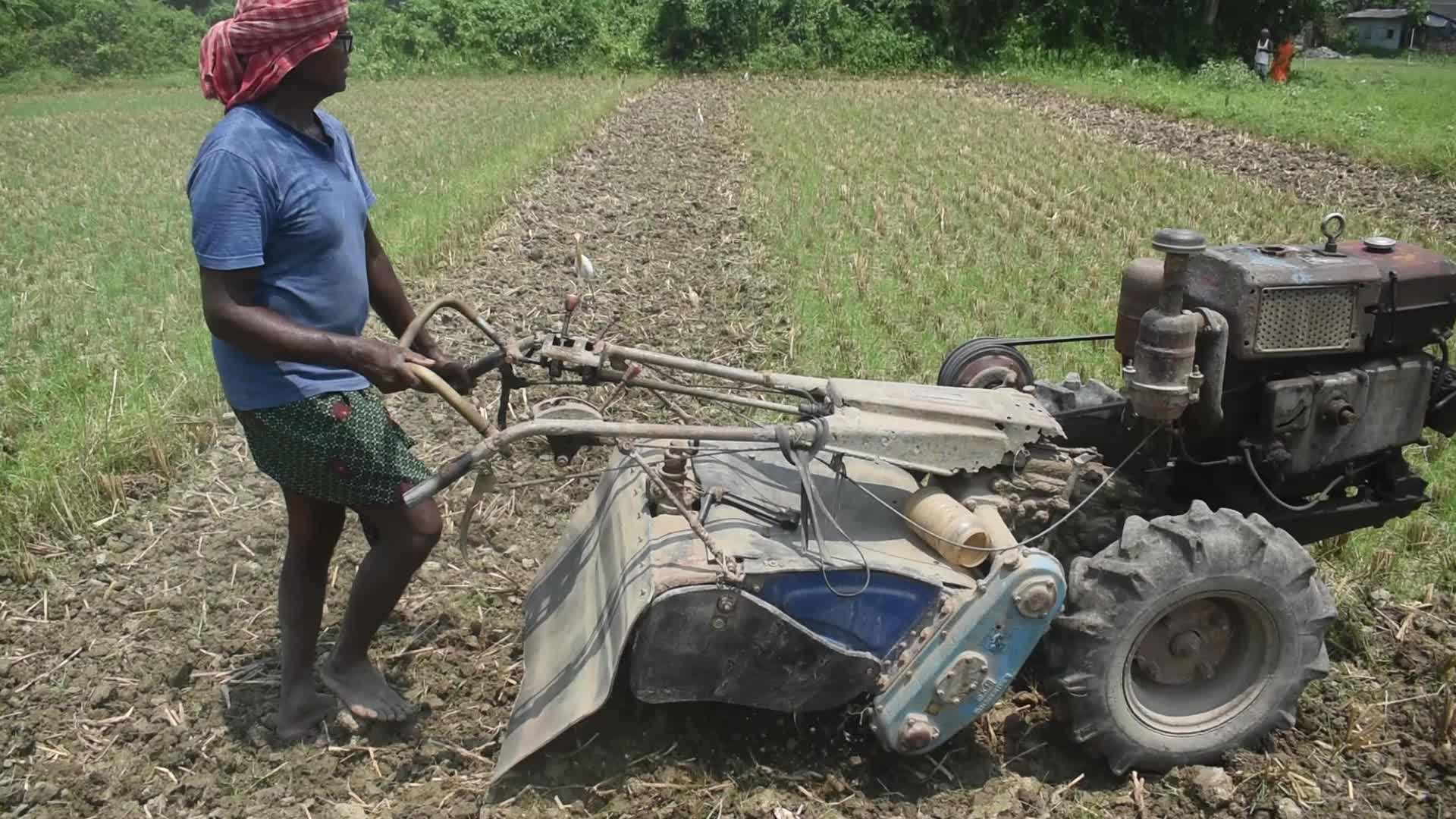 Daily life on the outskirts of Kolkata, India