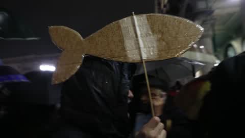 Sardine against Matteo Salvini in Milano, Italy