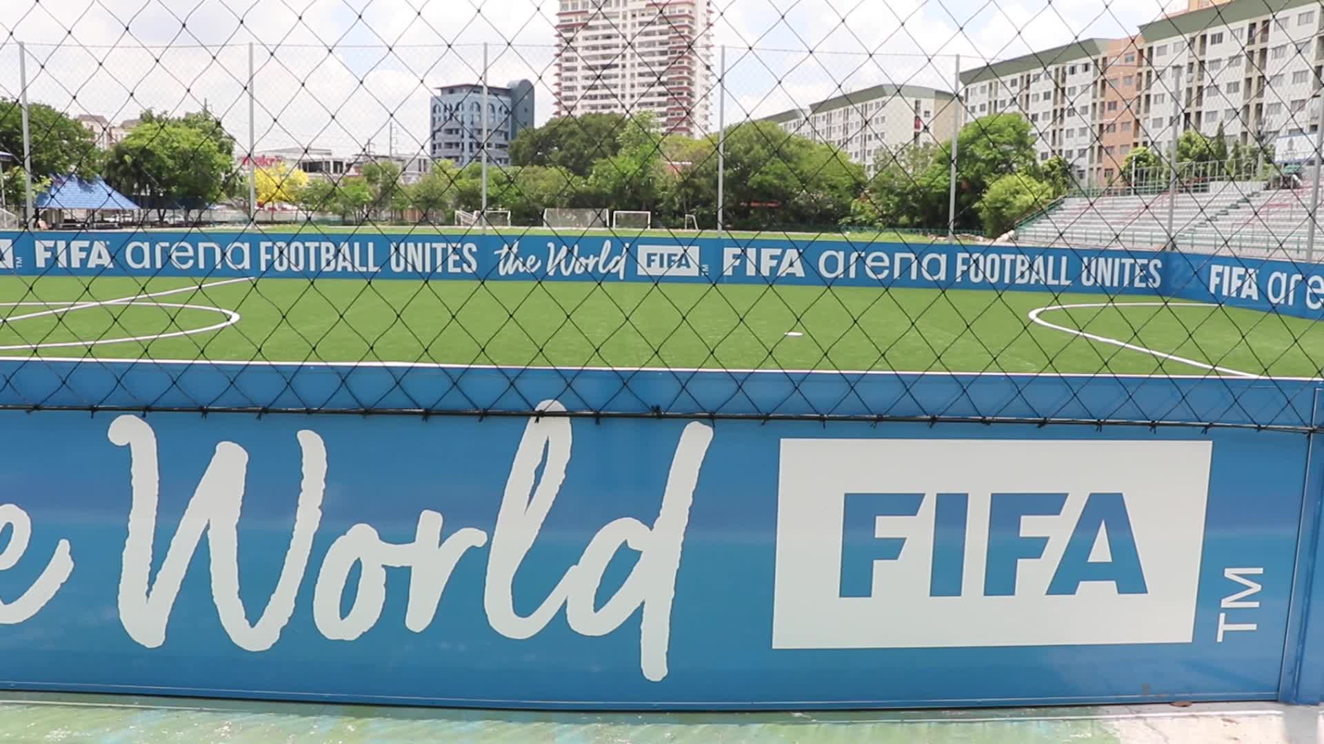 FIFA-Arena-Project-Pitch