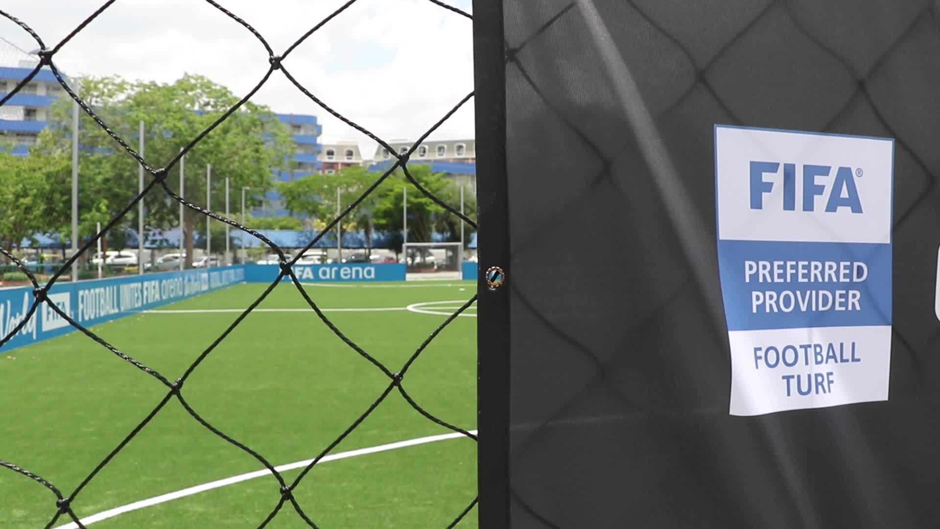 FIFA-Arena-Project-Pitch