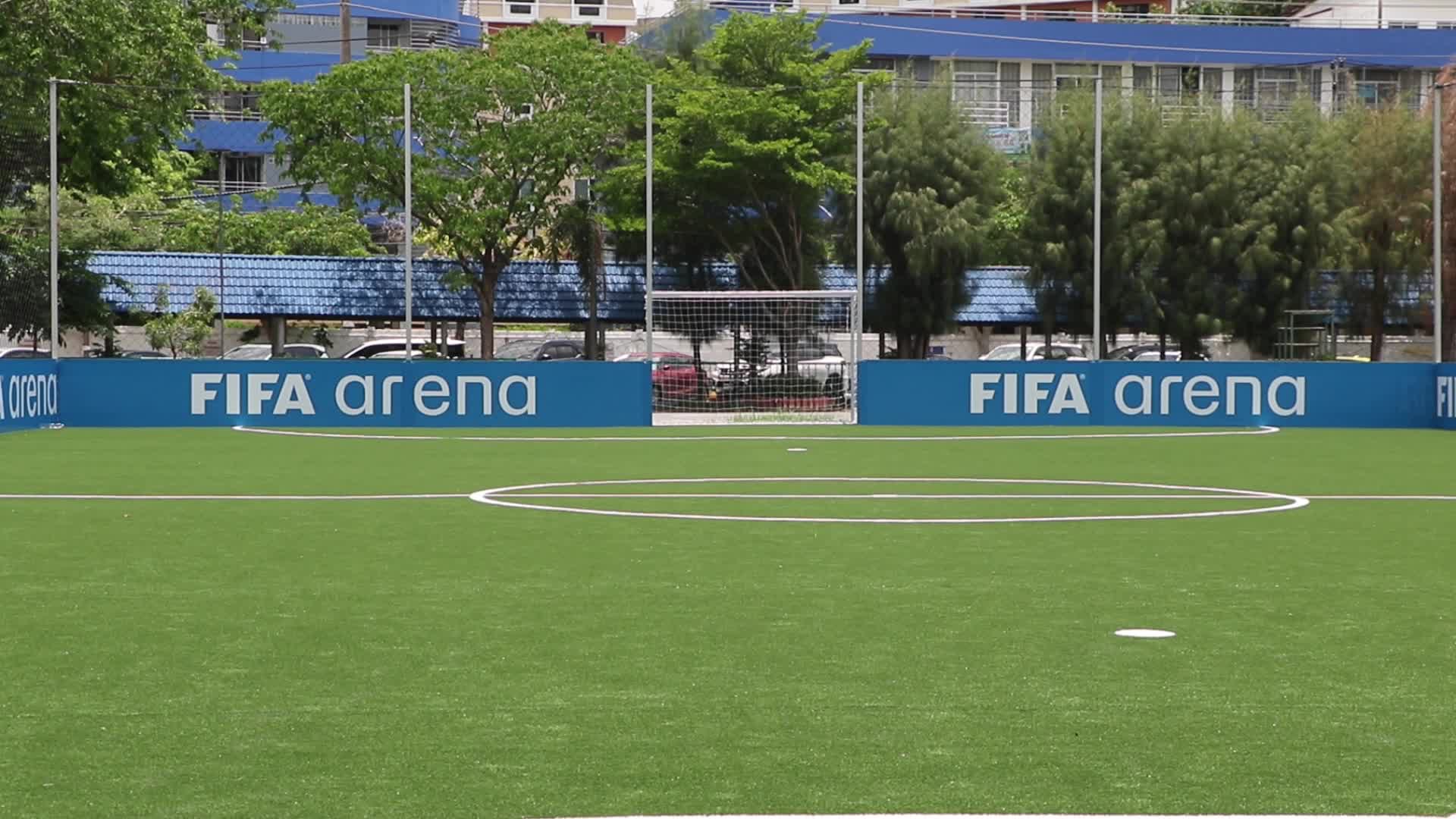 FIFA-Arena-Project-Pitch