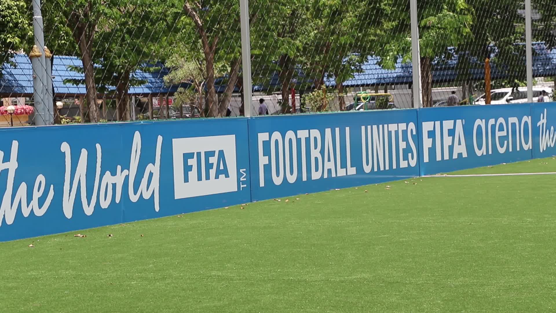 FIFA-Arena-Project-Pitch