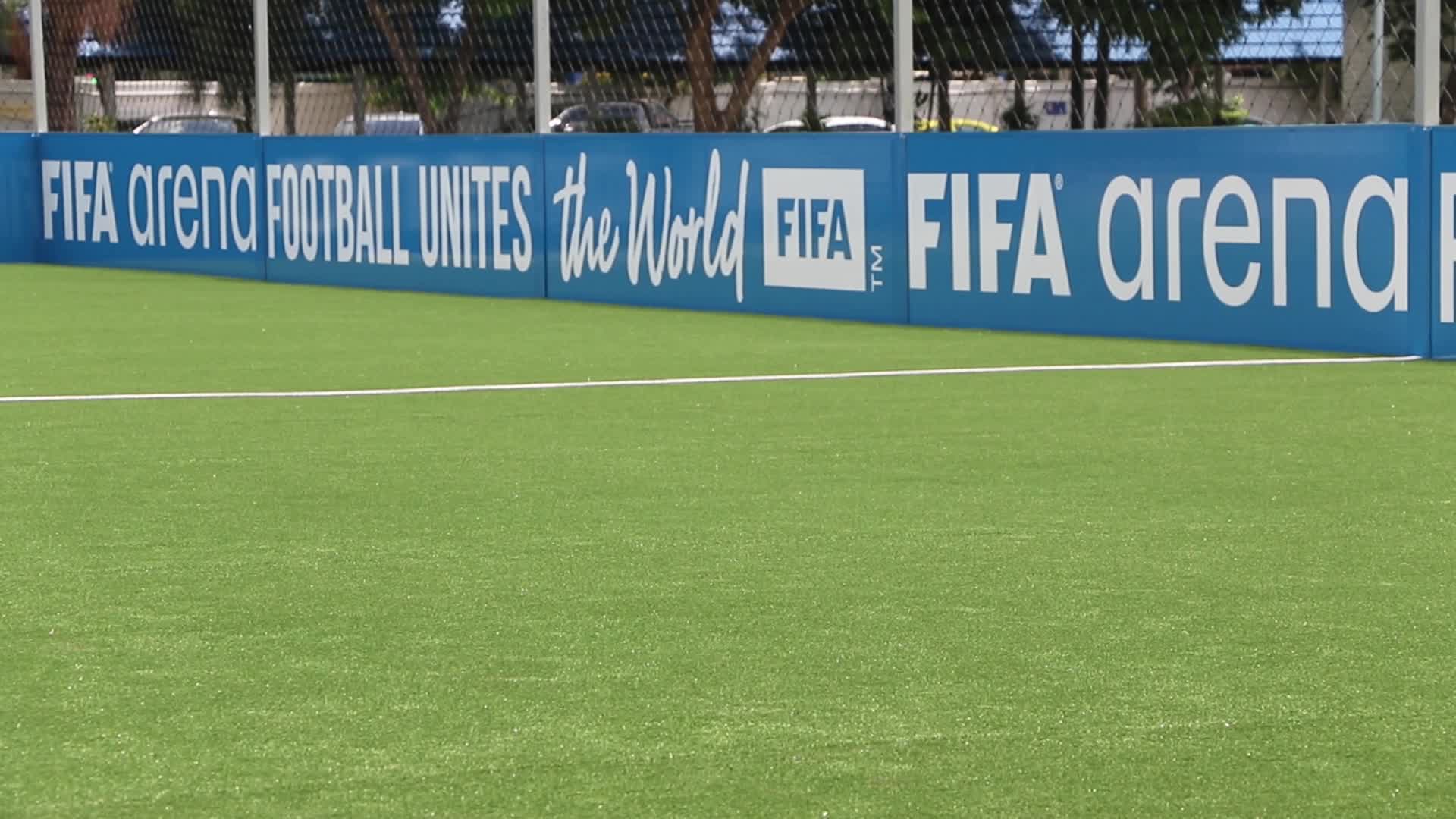 FIFA-Arena-Project-Pitch