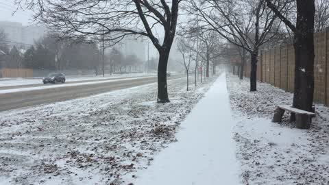 Winter storm in Toronto, Canada