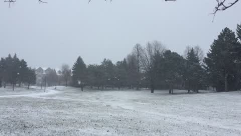Winter storm in Toronto, Canada