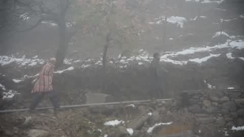 Foggy morning in Srinagar.