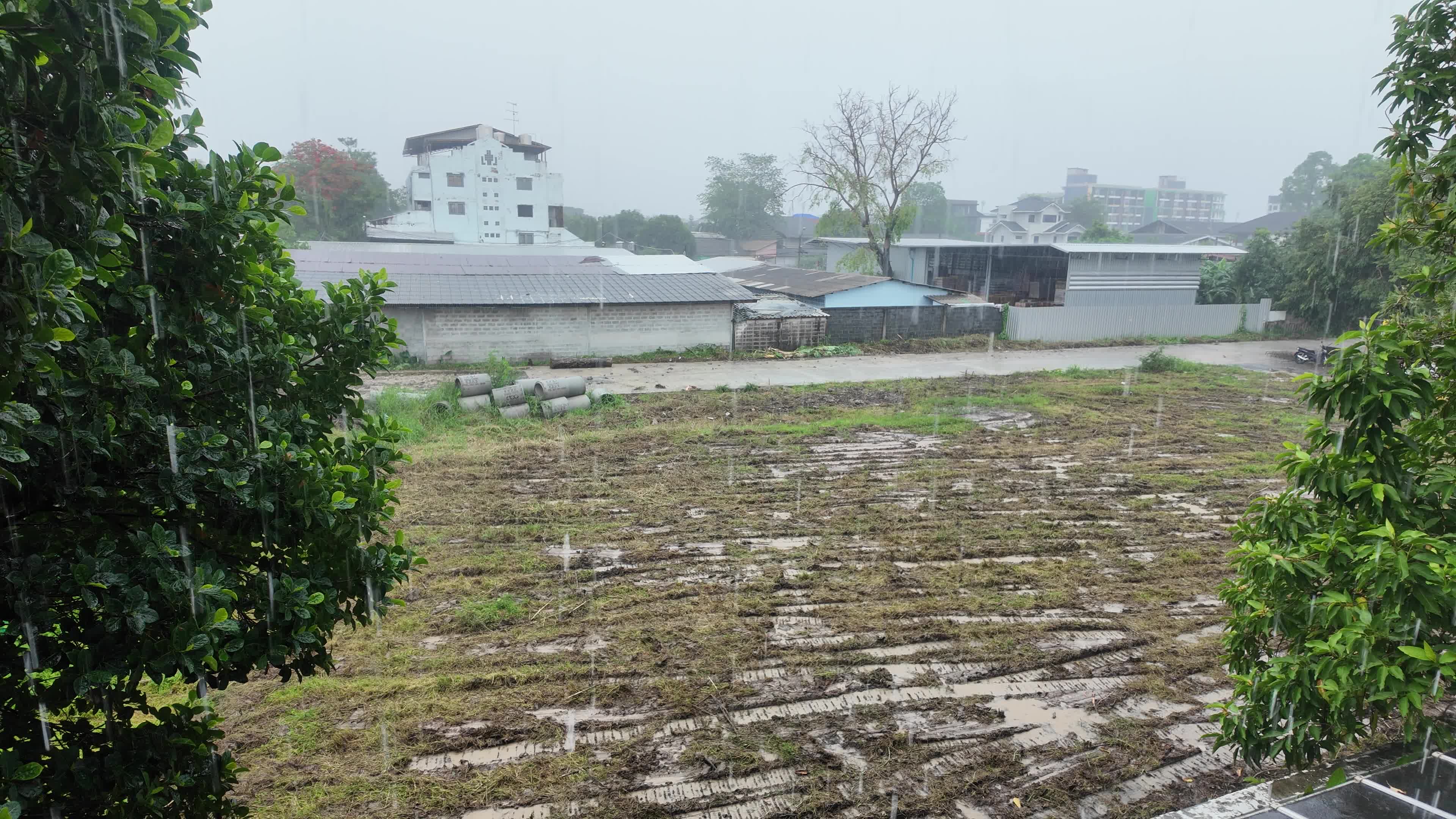 Rain Season in Bangkok