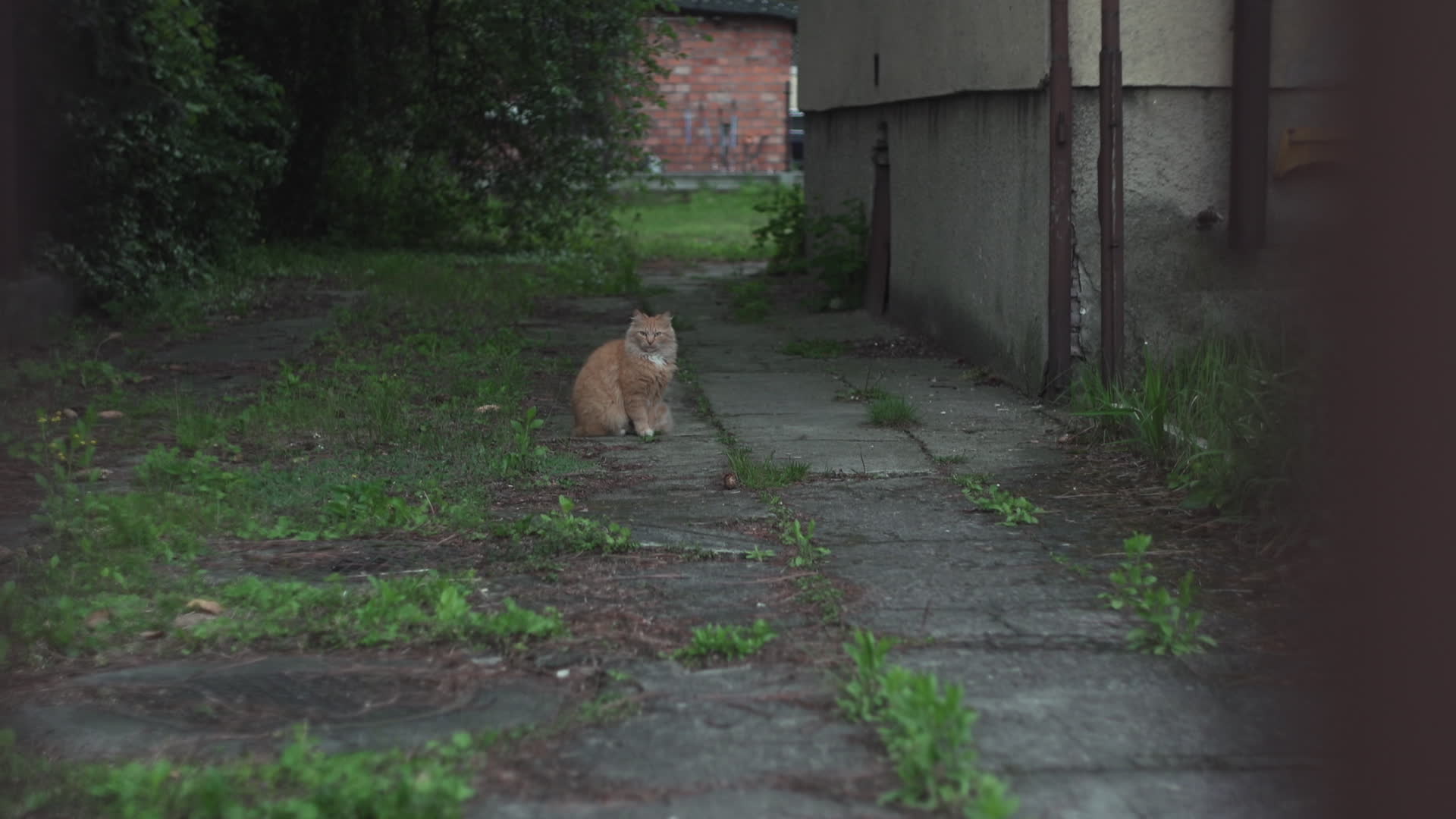 Daily life in Warsaw