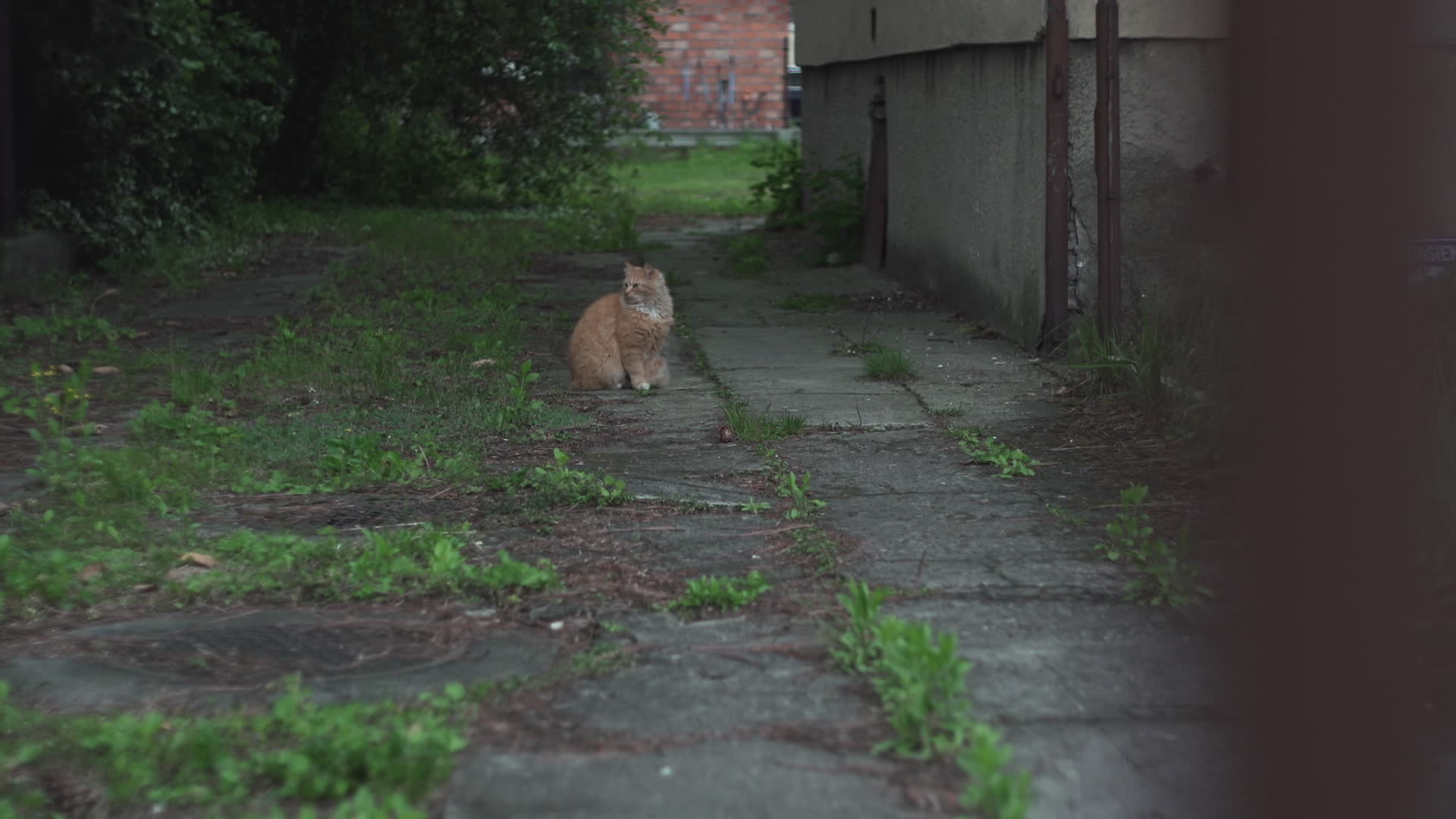 Daily life in Warsaw