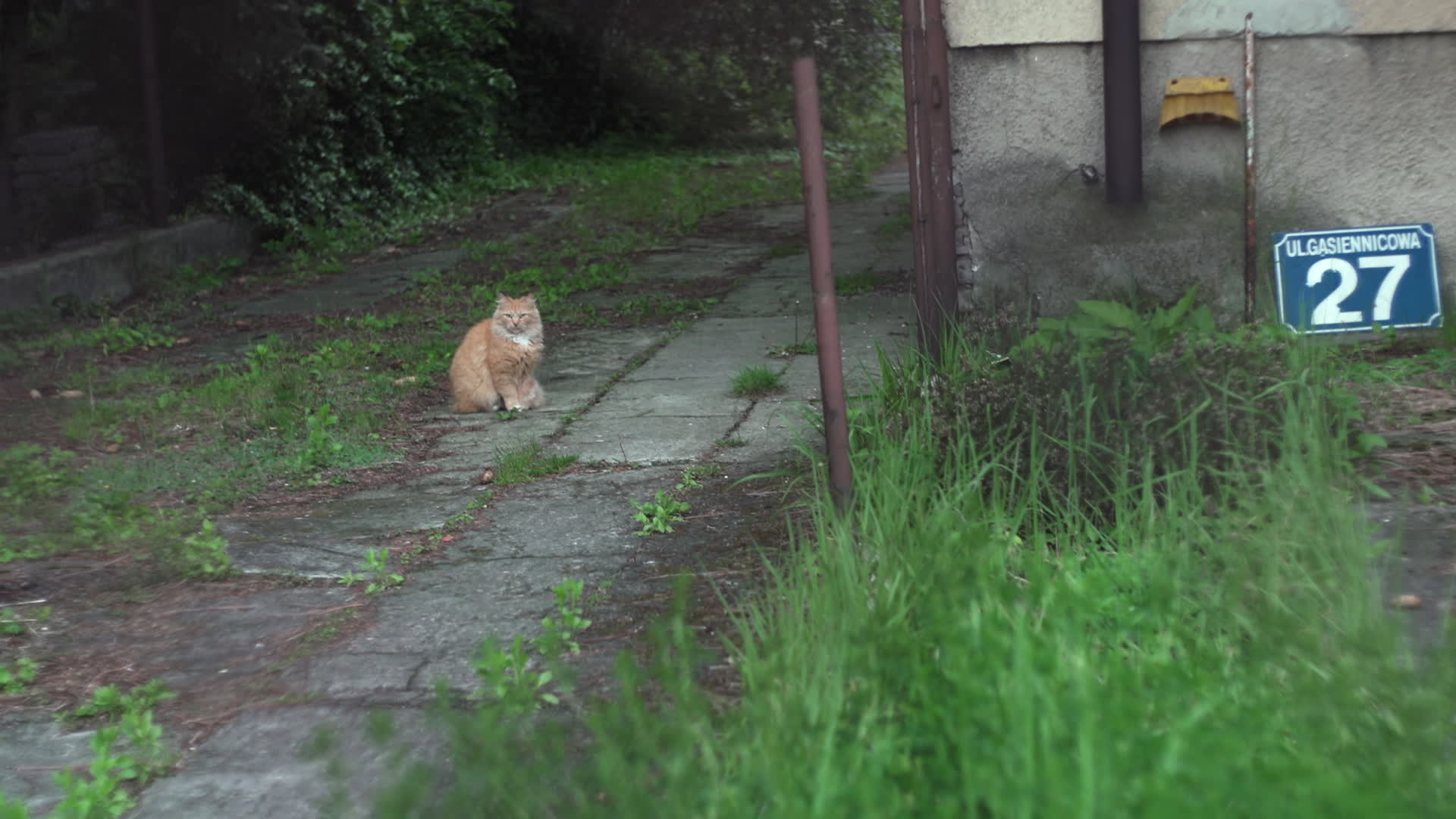 Daily life in Warsaw