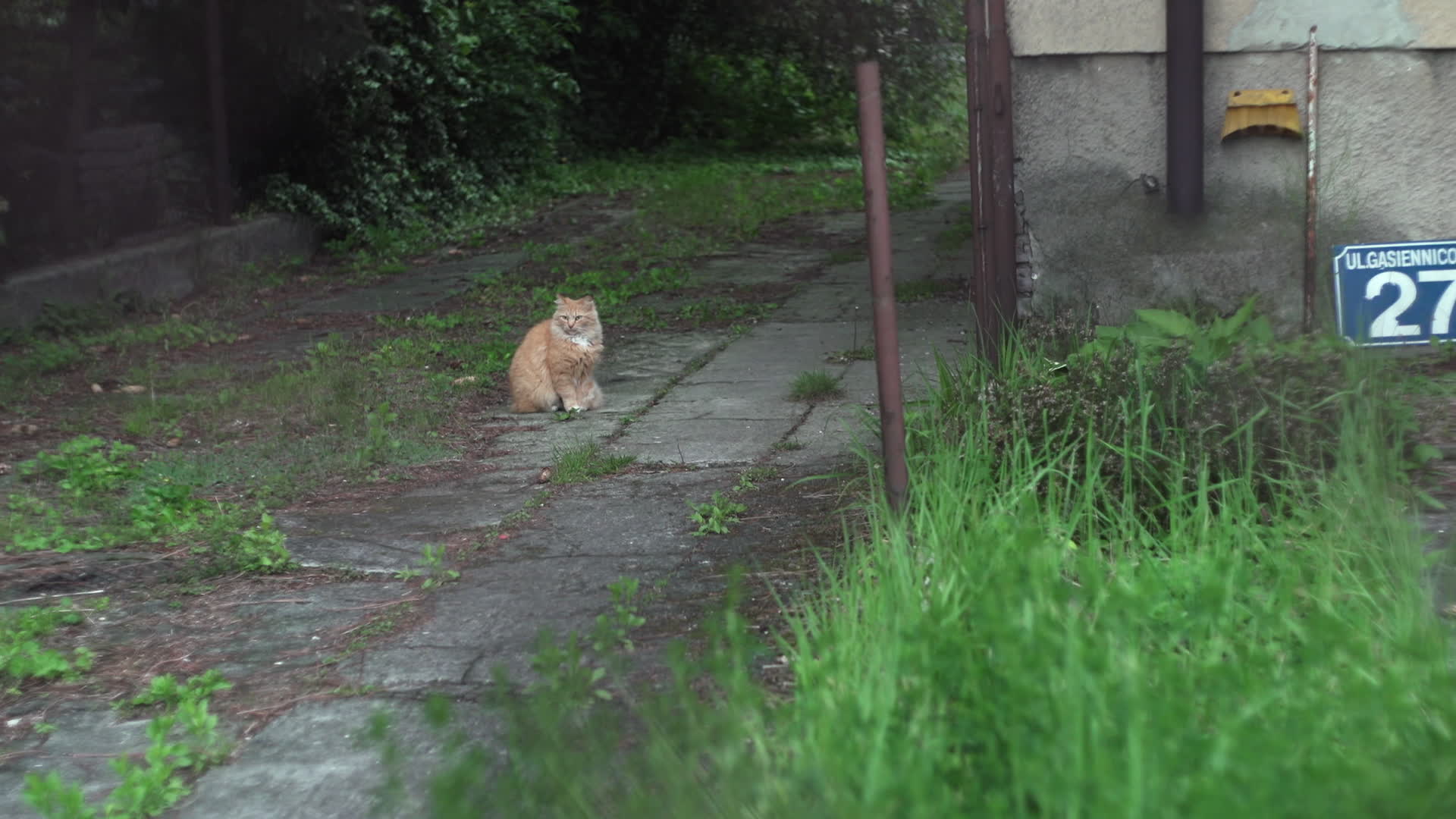 Daily life in Warsaw