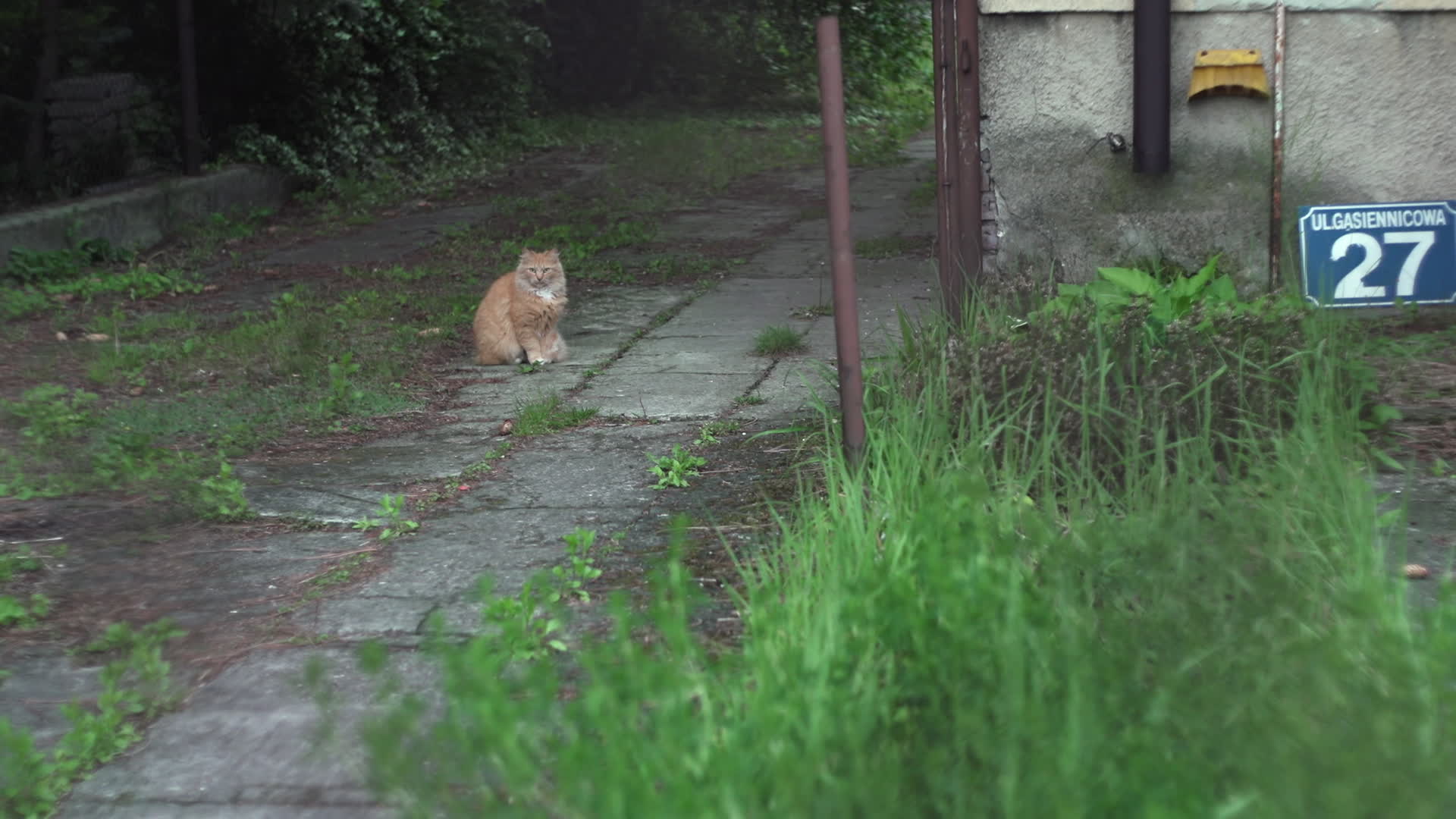 Daily life in Warsaw