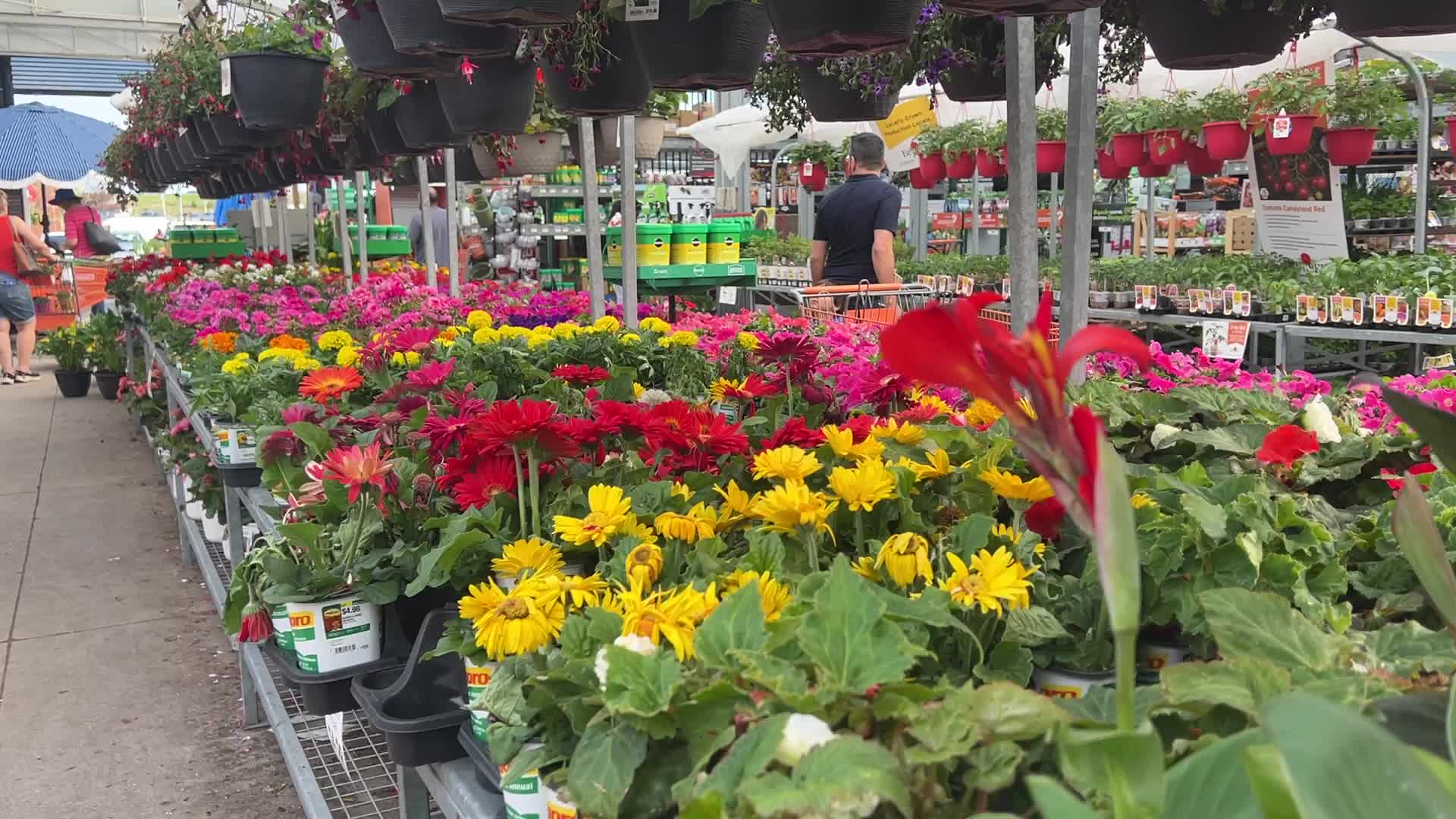 Spring season in Toronto, Canada