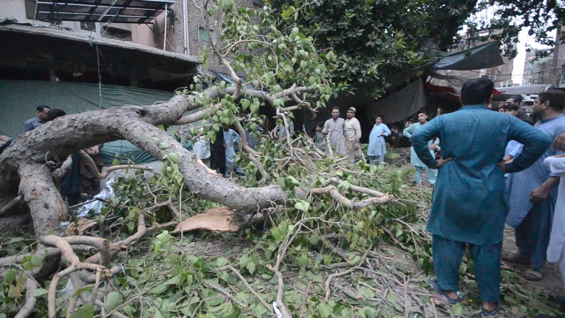 Severe storm hits Pakistani city of Peshawar 