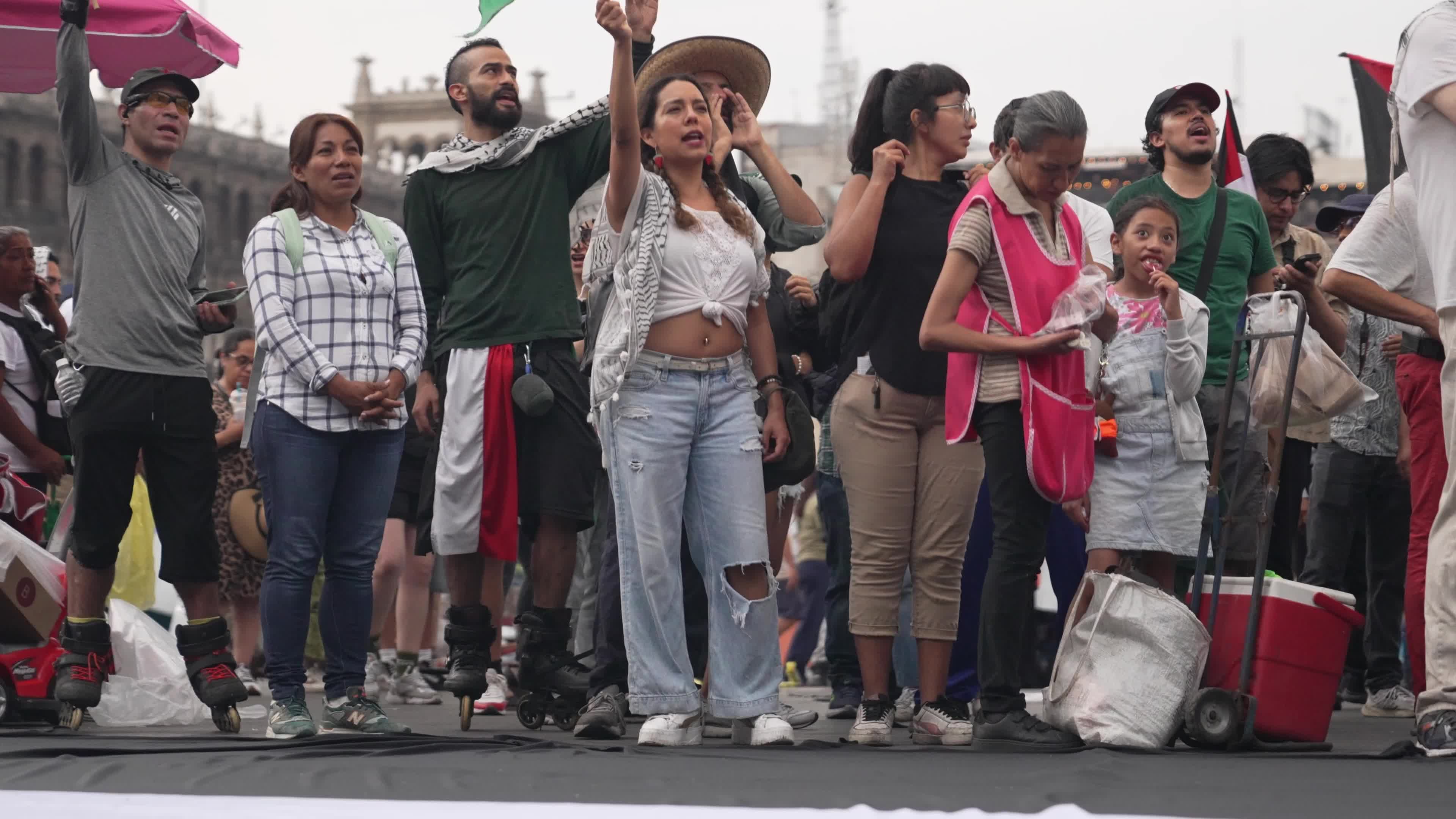 Pro-Palestinian Rally Marking the 77th Anniversary of Nabka