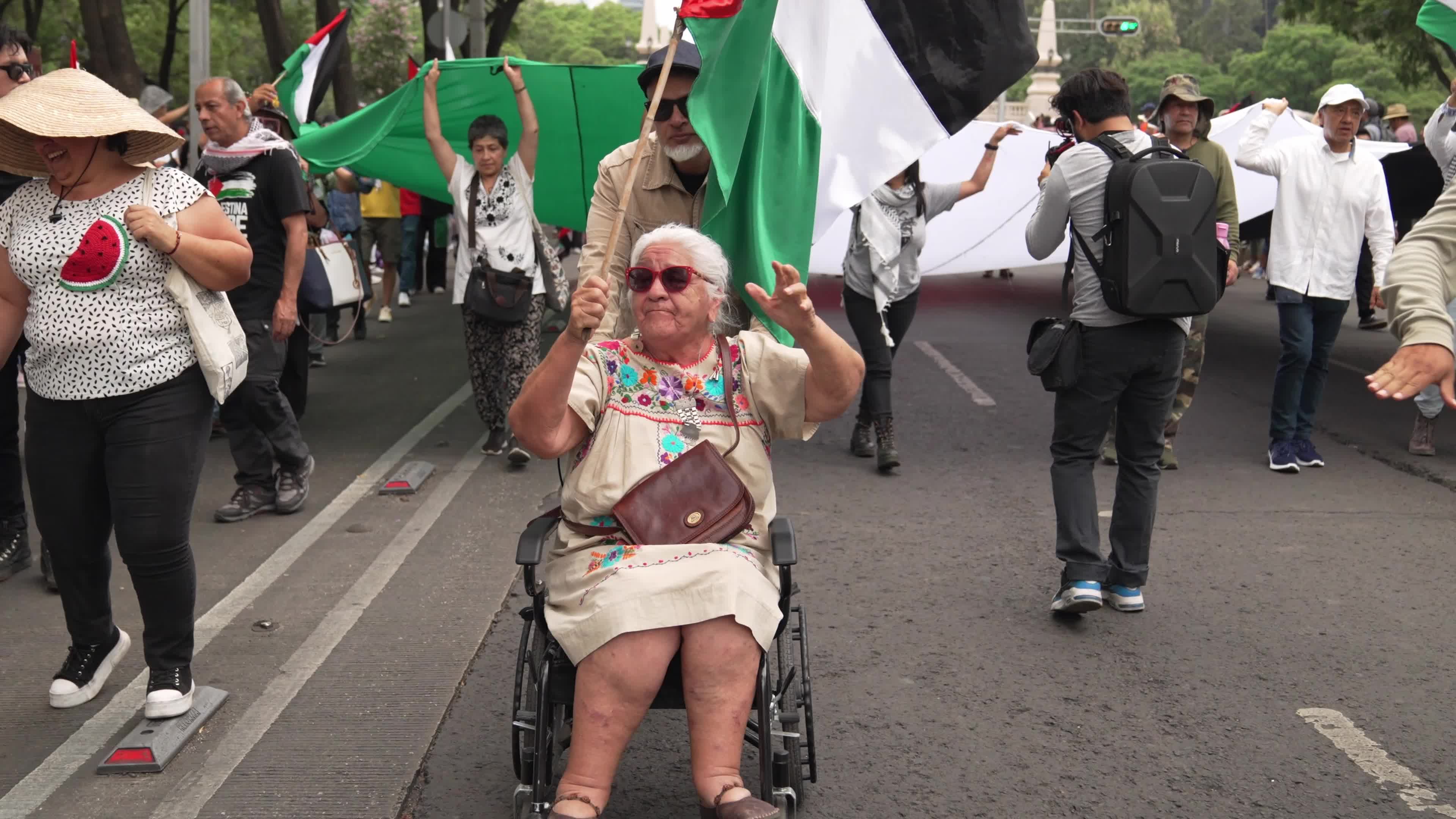 Pro-Palestinian Rally Marking the 77th Anniversary of Nabka