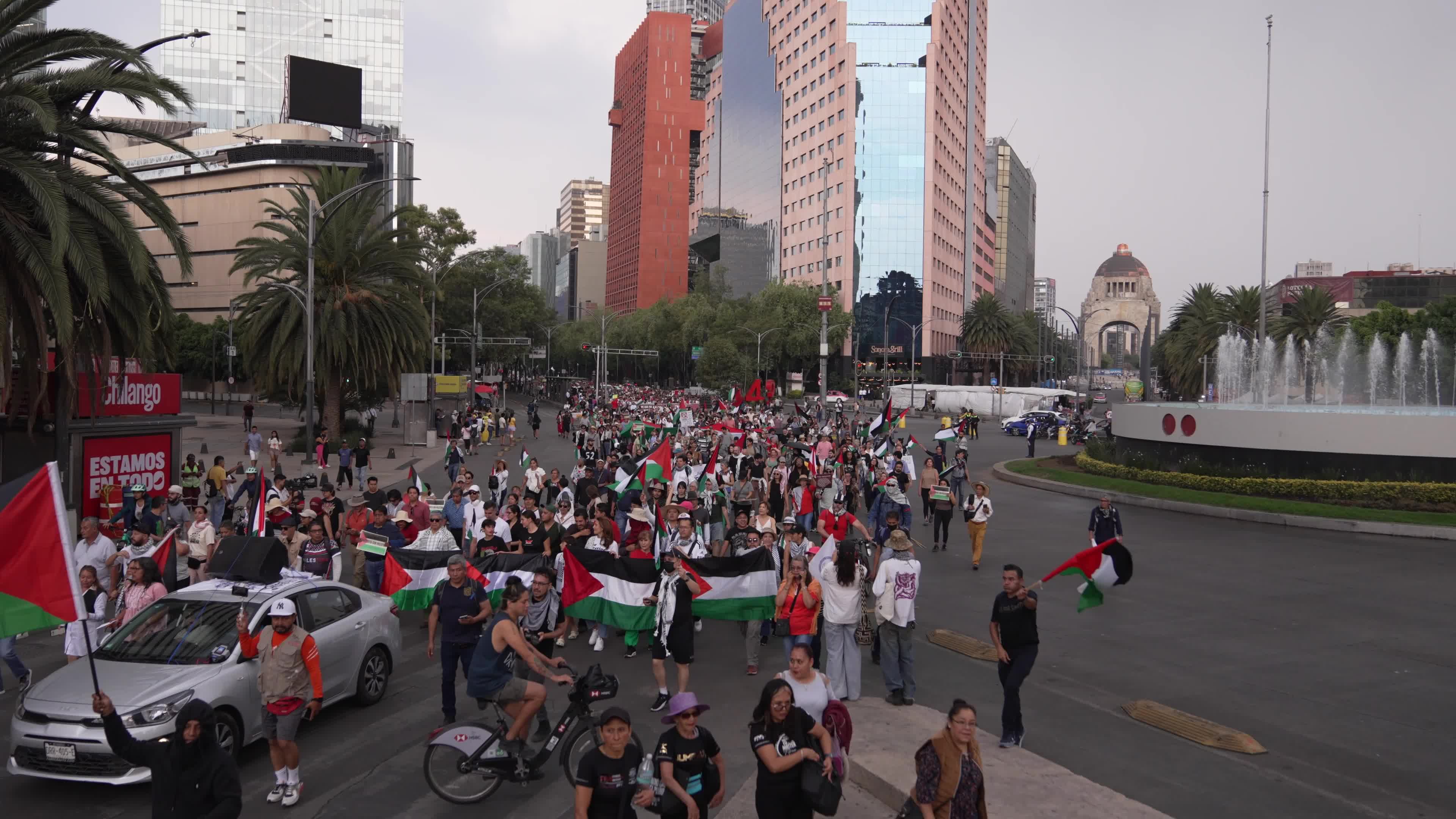 Pro-Palestinian Rally Marking the 77th Anniversary of Nabka