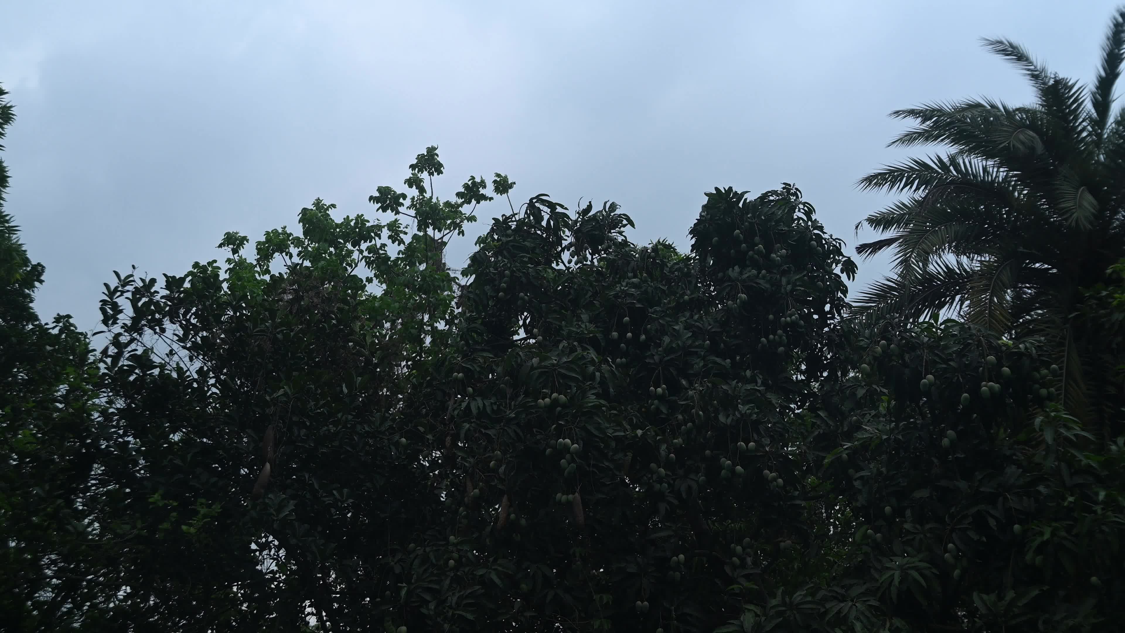 Kal Baisakhi - Nor'wester - India Weather 