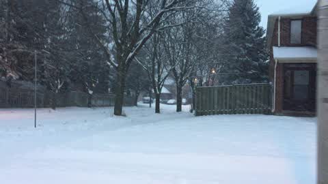 Toronto gets hit by massive winter snowstorm