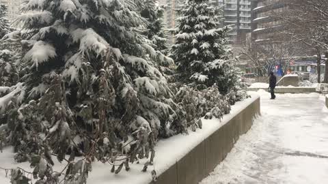 Toronto gets hit by massive winter snowstorm