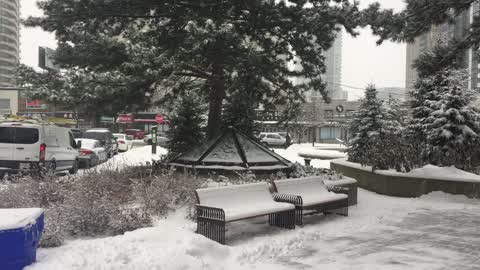 Toronto gets hit by massive winter snowstorm