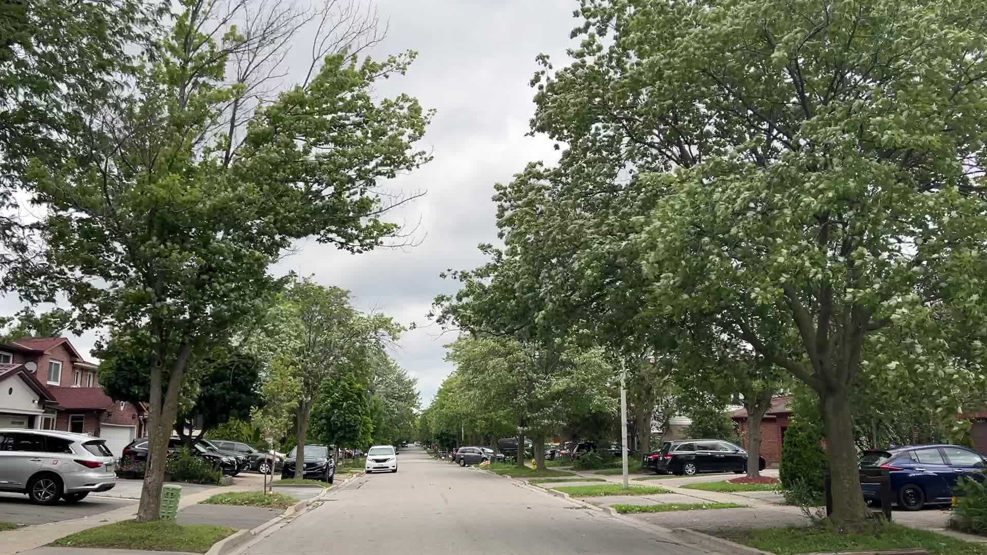 Daily life in Ontario, Canada