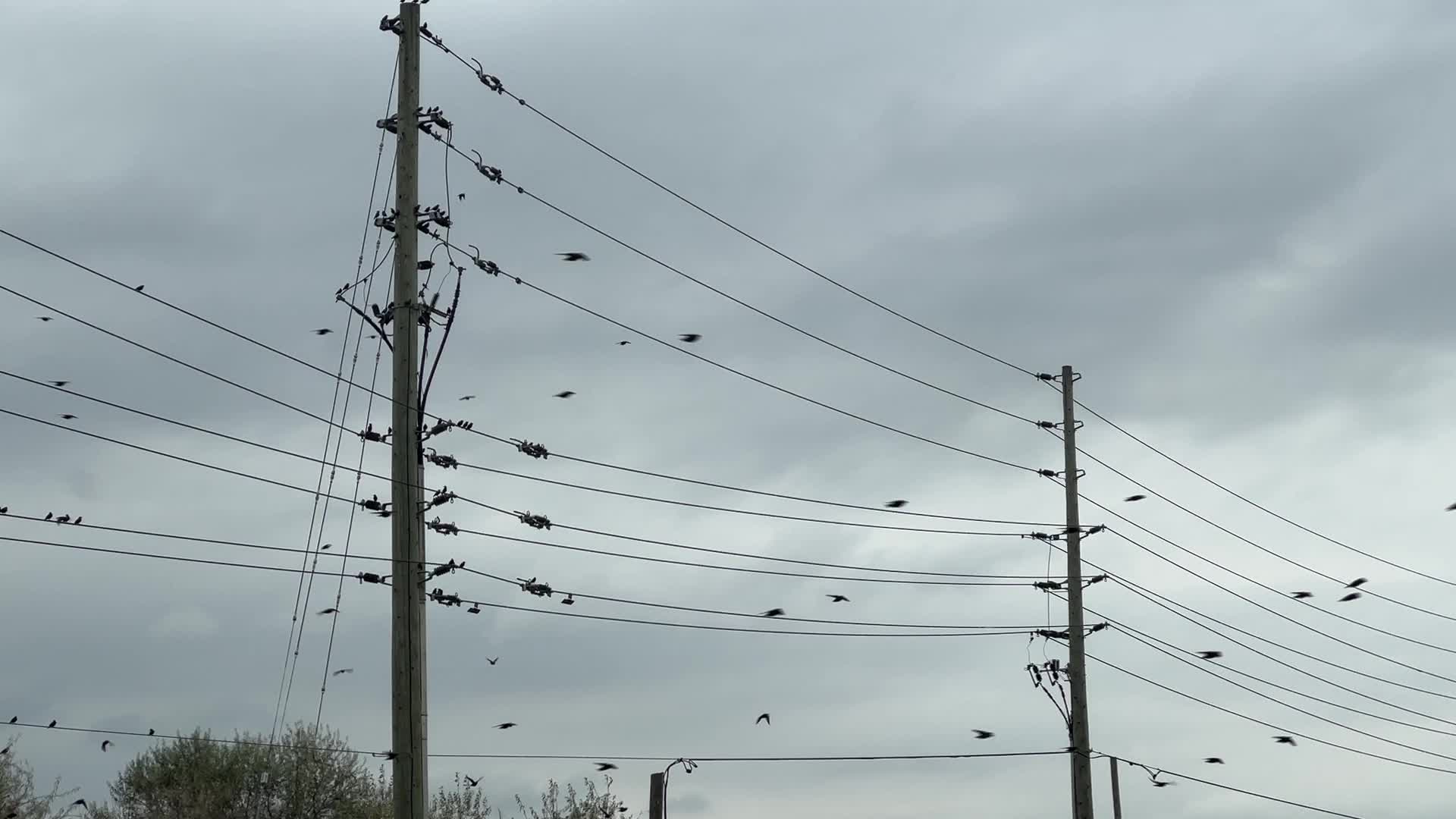Daily life in Ontario, Canada