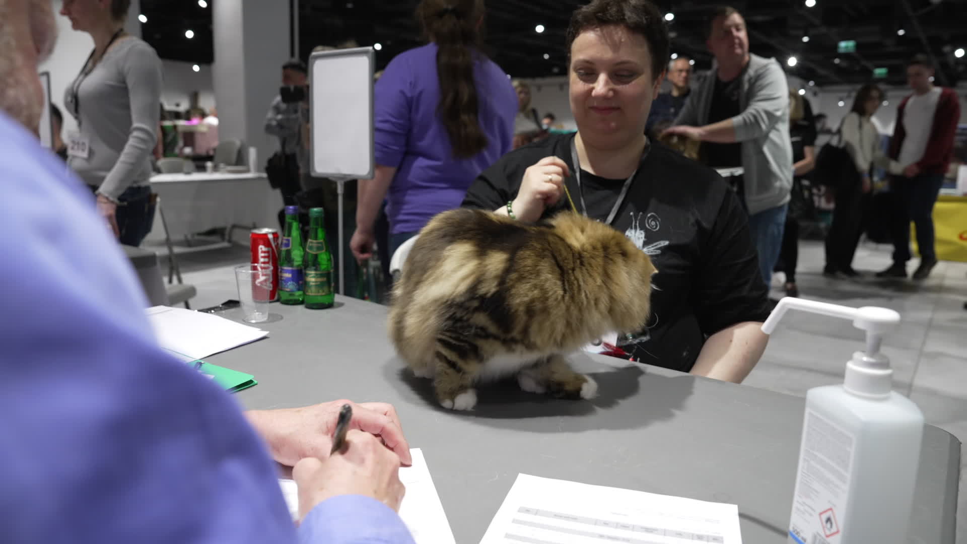 International Cat Show in Warsaw