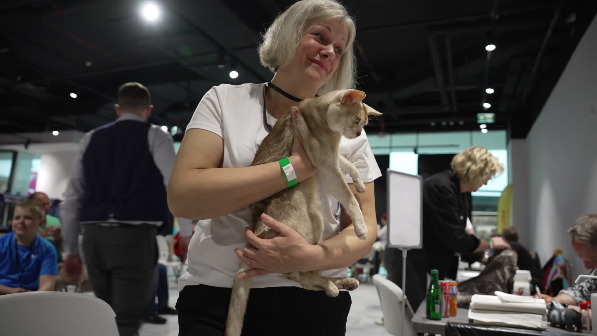 International Cat Show in Warsaw