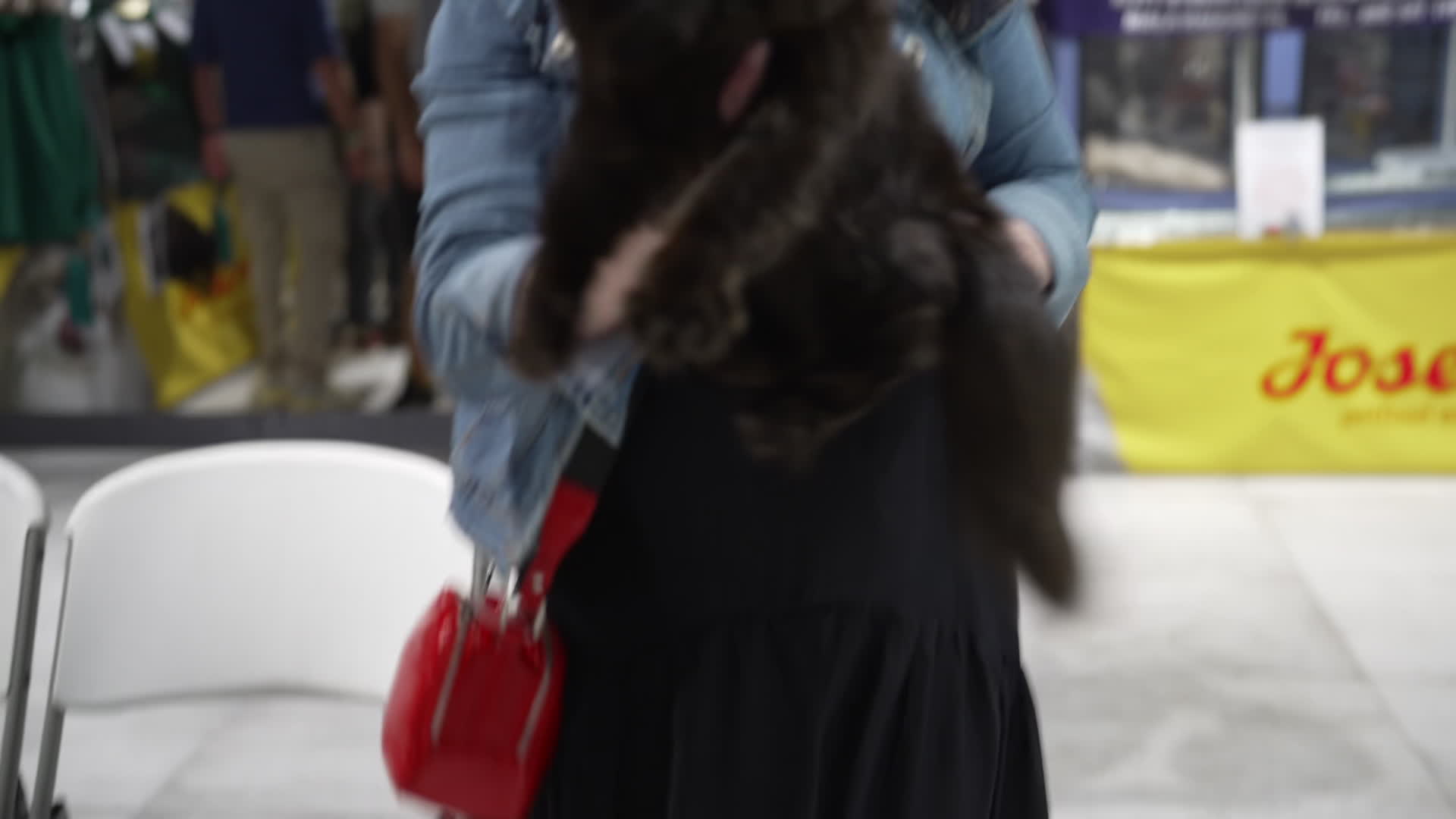 International Cat Show in Warsaw