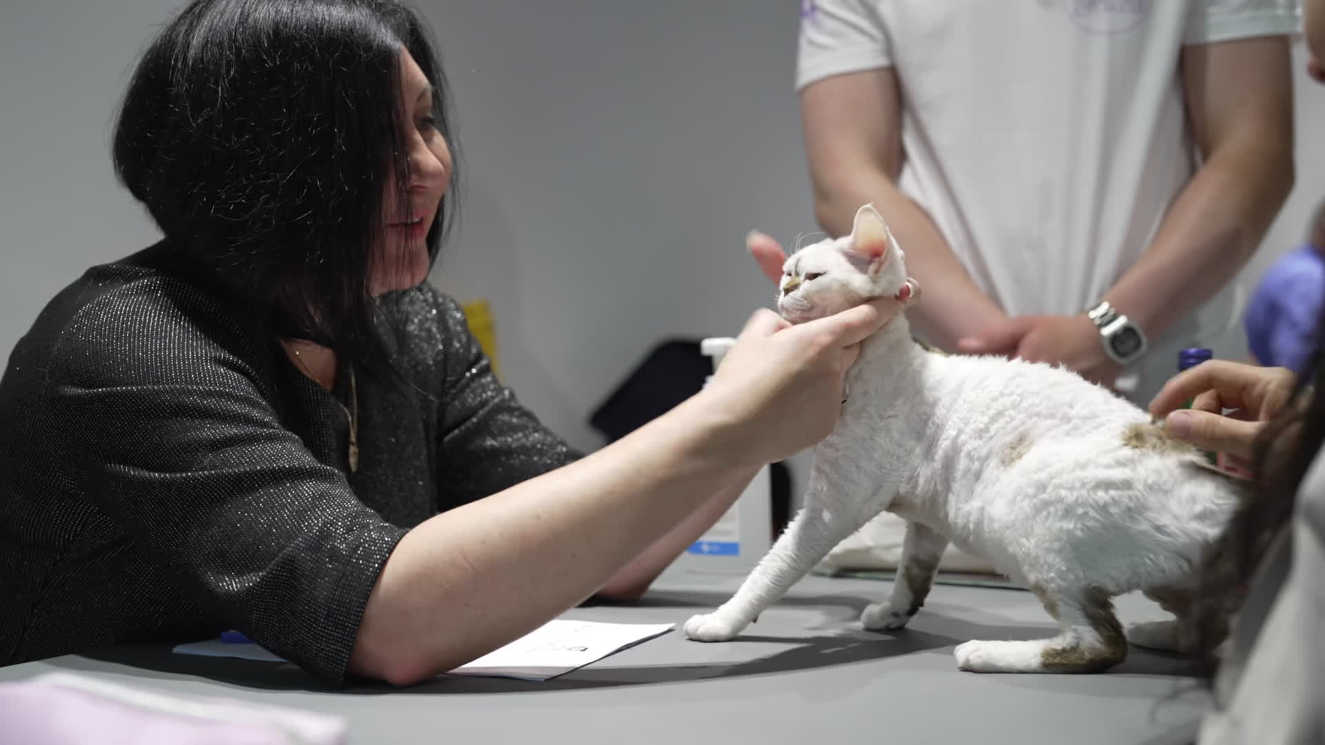 International Cat Show in Warsaw