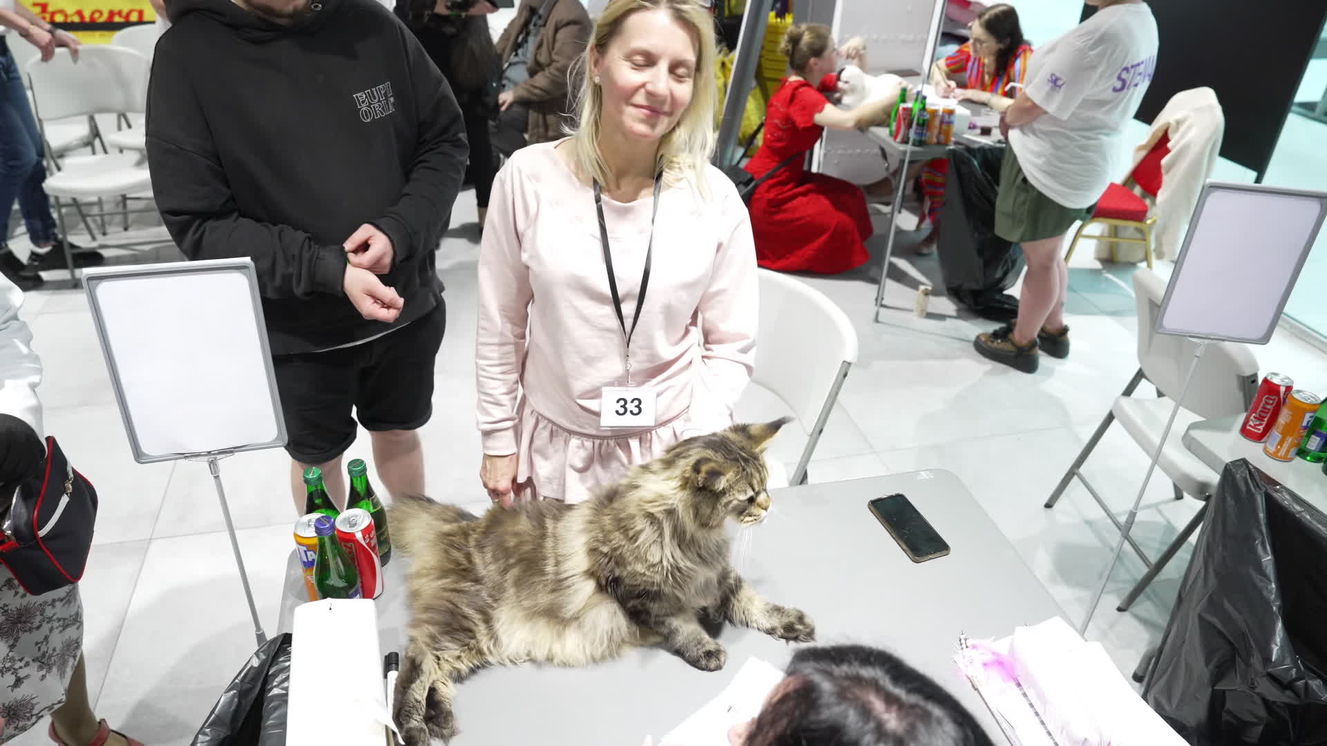 International Cat Show in Warsaw