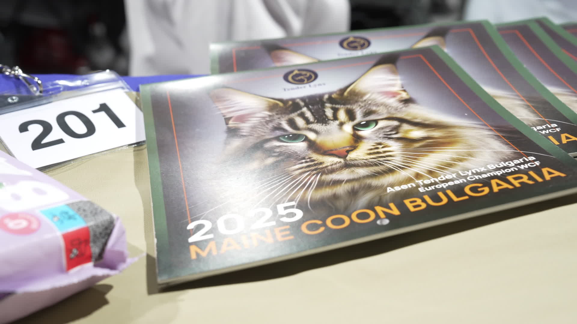 International Cat Show in Warsaw