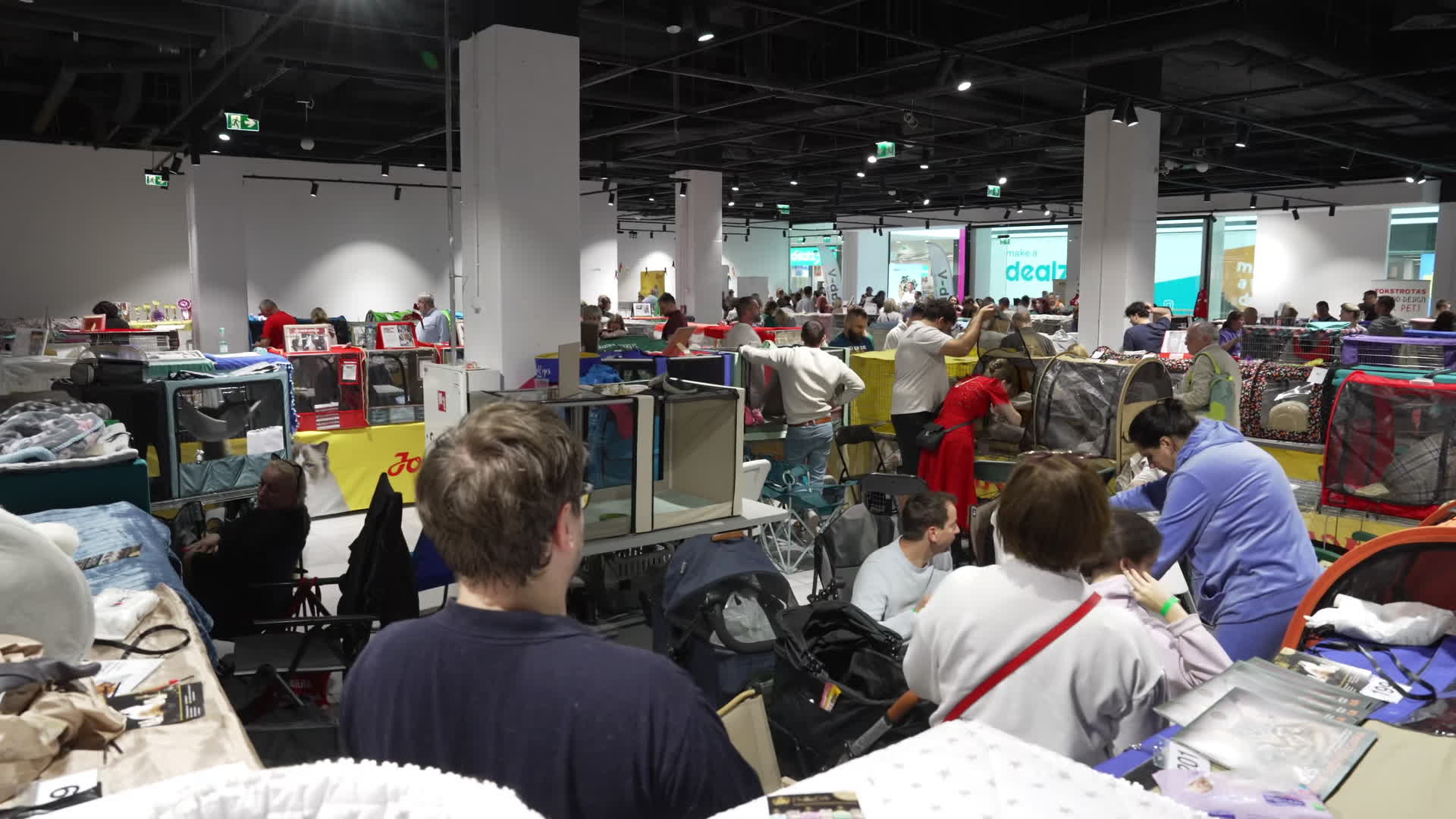 International Cat Show in Warsaw