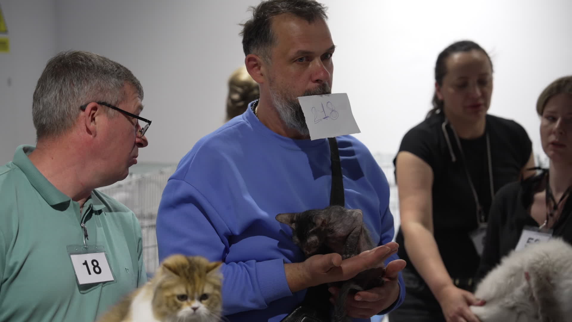 International Cat Show in Warsaw